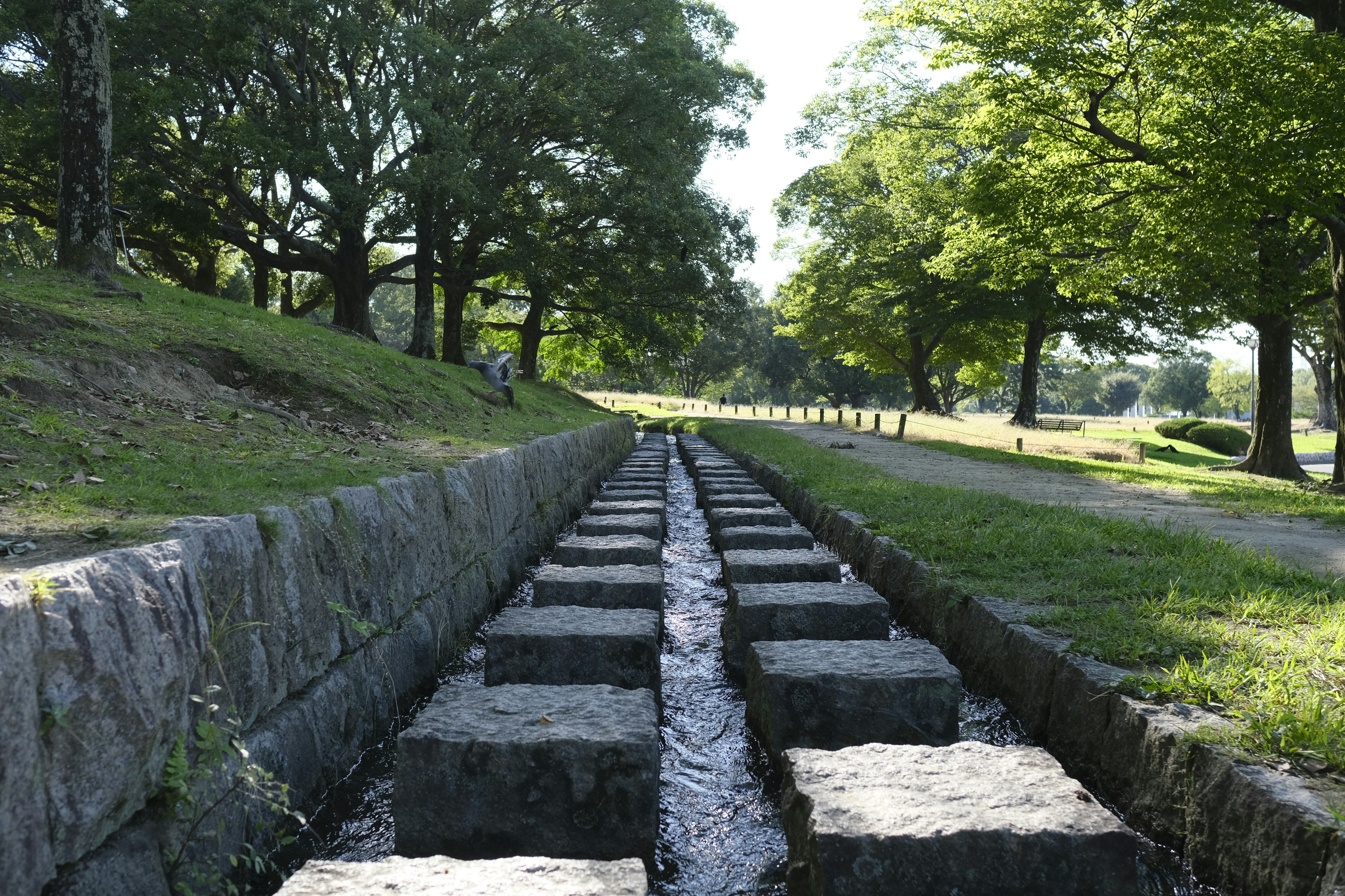 Paisaje de un parque verde con un canal de piedra