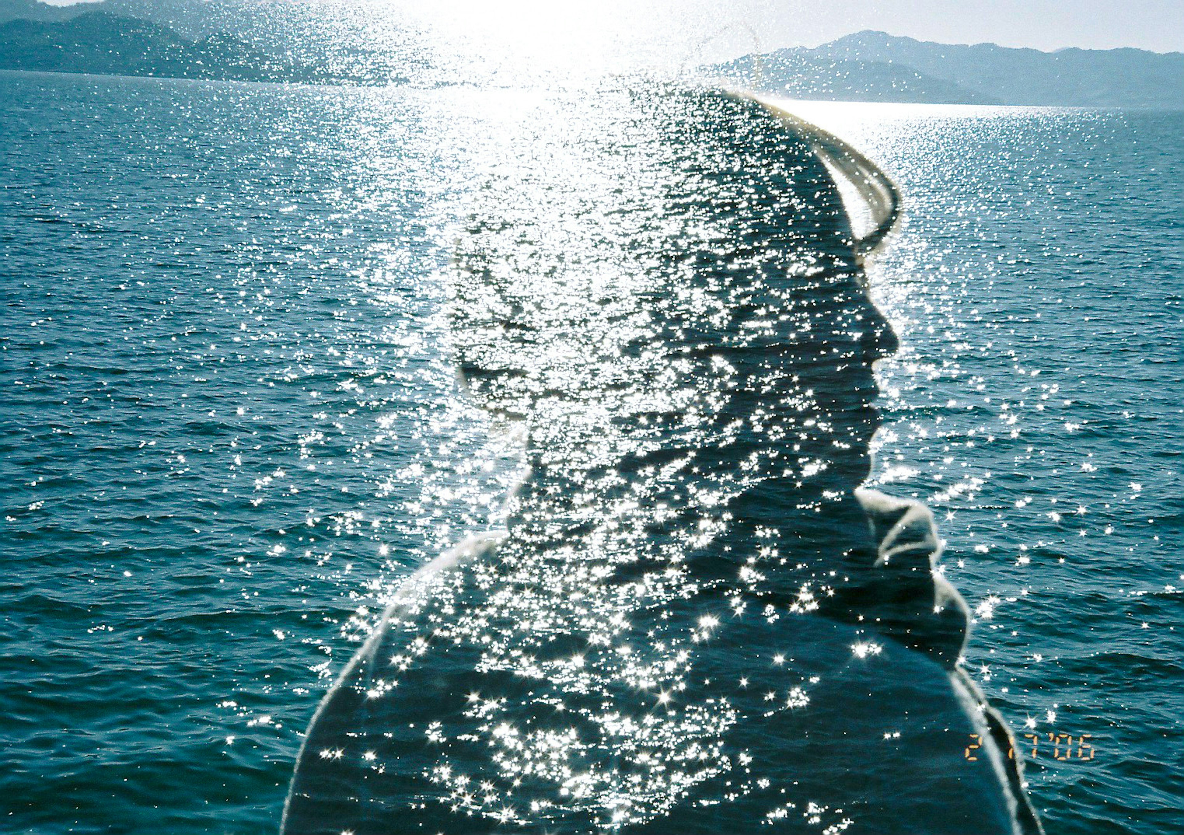 水面に映るシルエットと太陽の光が反射する美しい風景