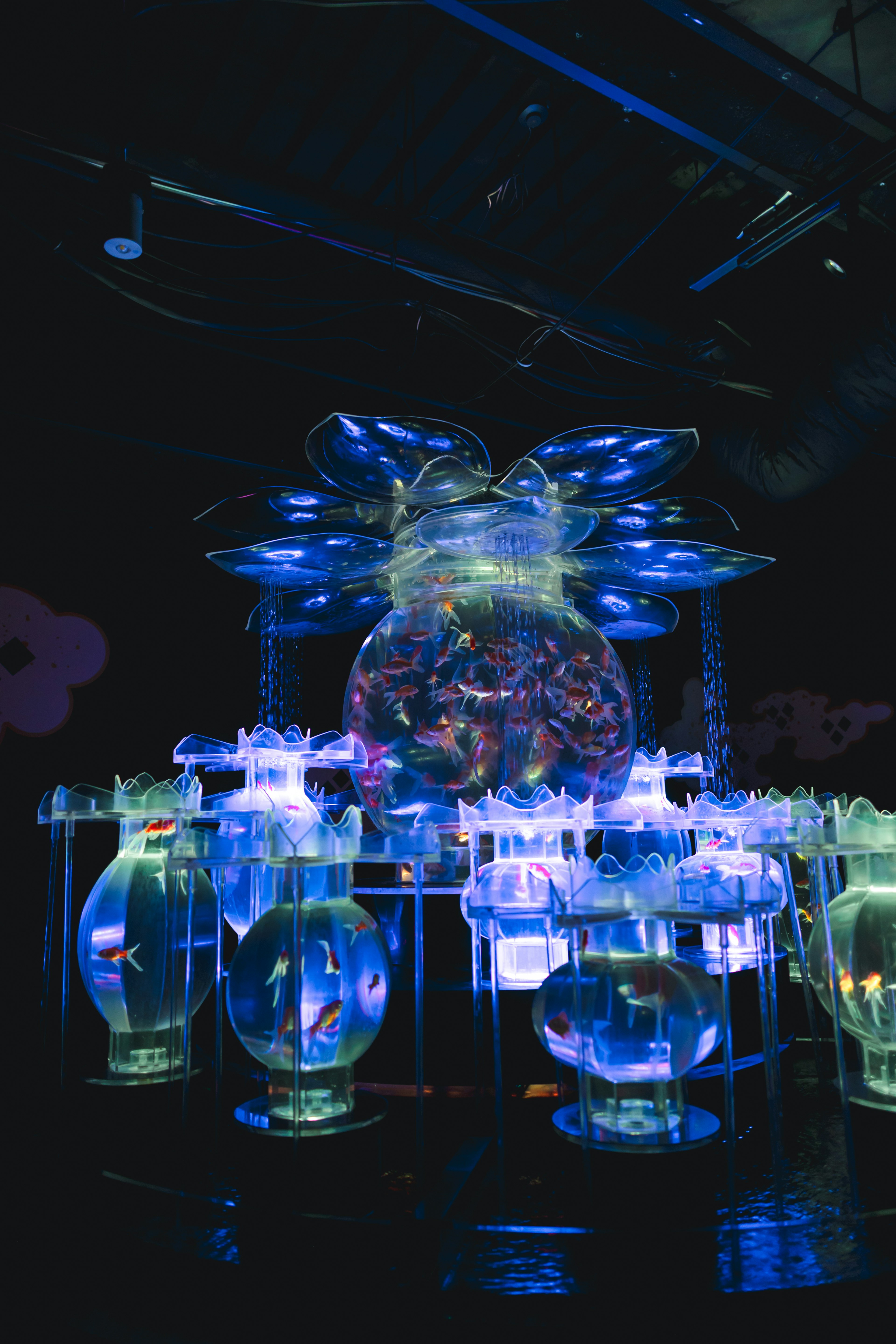 Art installation featuring transparent fish tanks illuminated by blue light