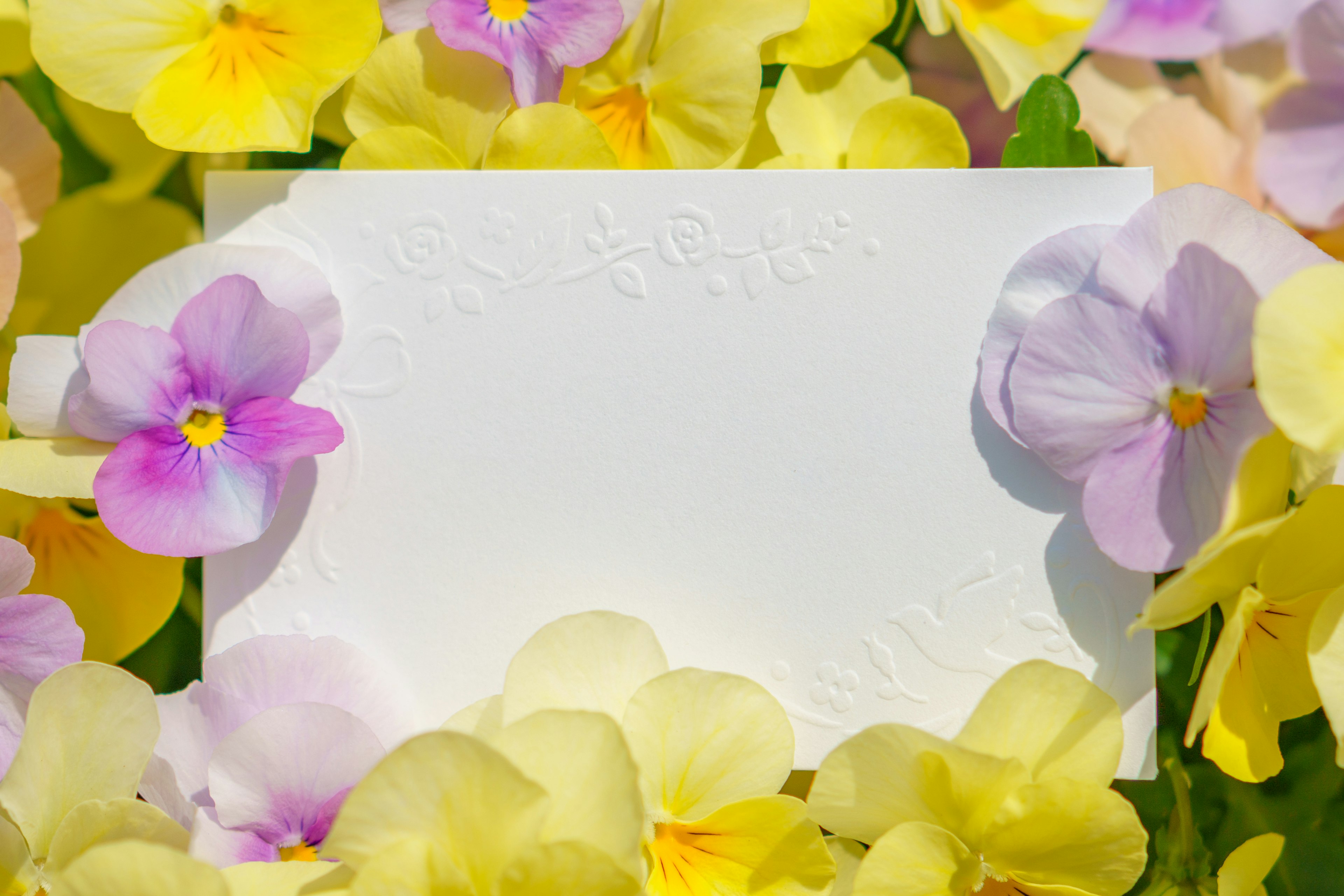 White card surrounded by pale yellow and purple flowers