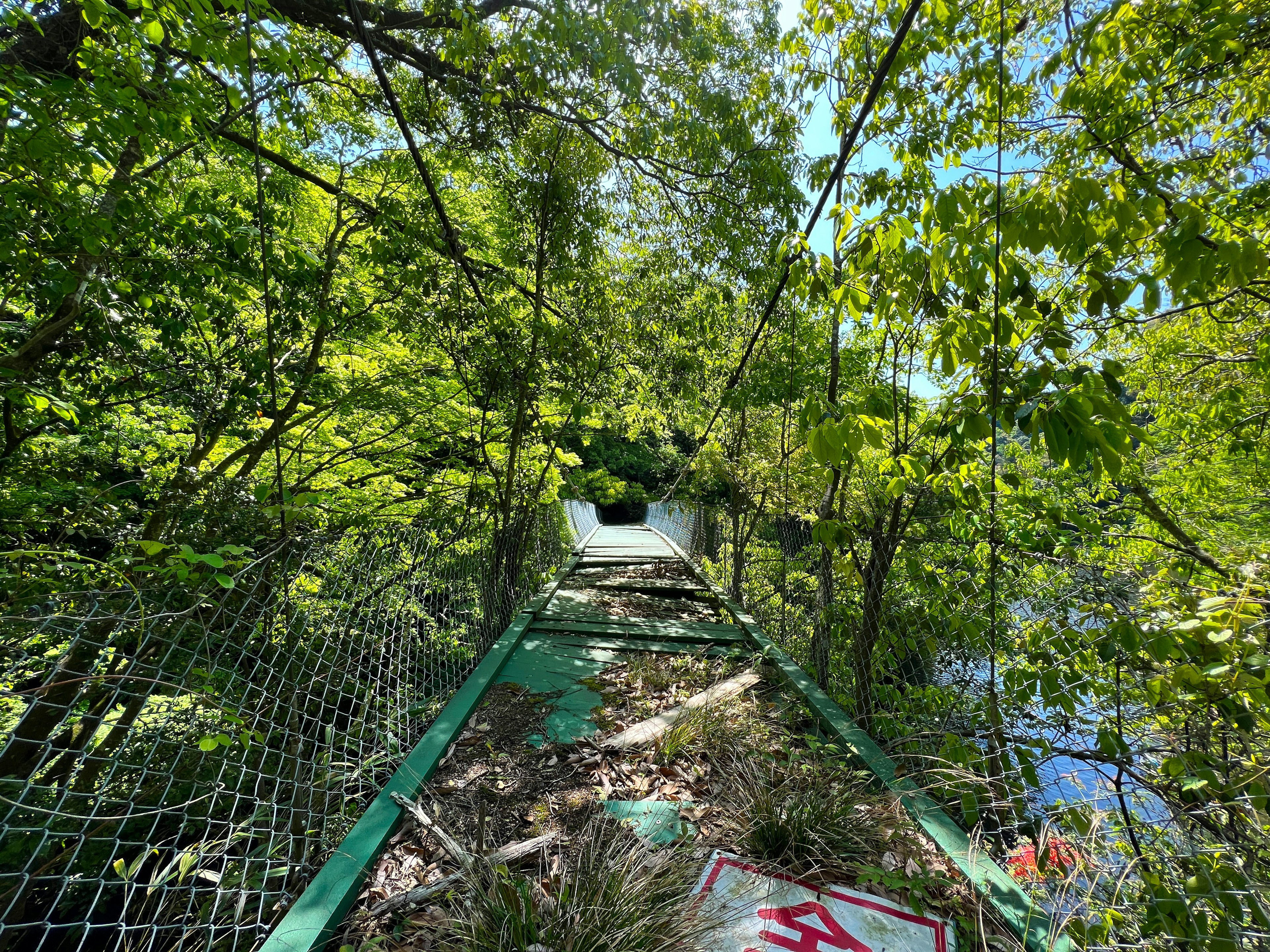 A scenic view of a suspension bridge surrounded by greenery with blue sky visible