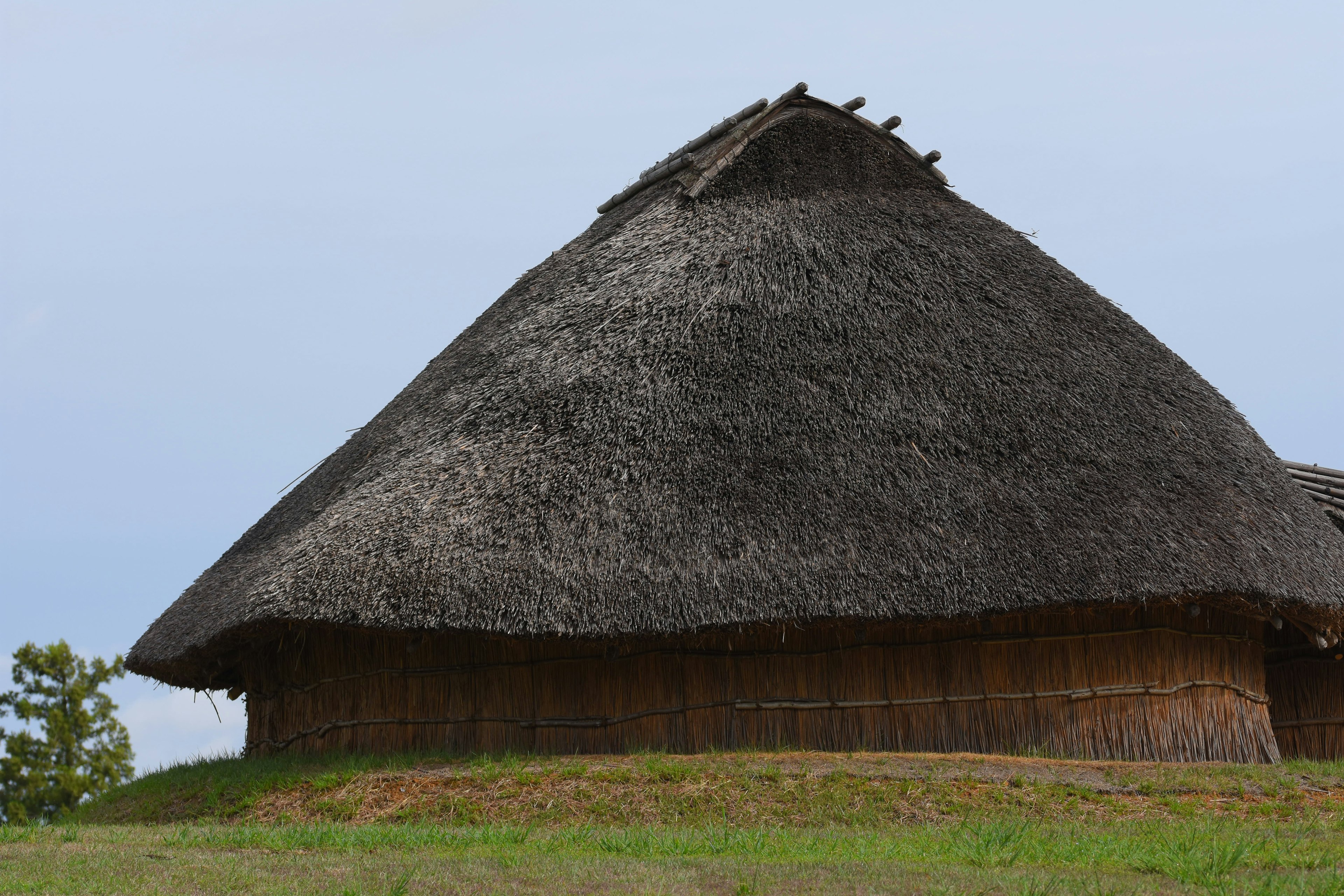 Traditionelles Haus mit Strohdach in einem grasbewachsenen Bereich