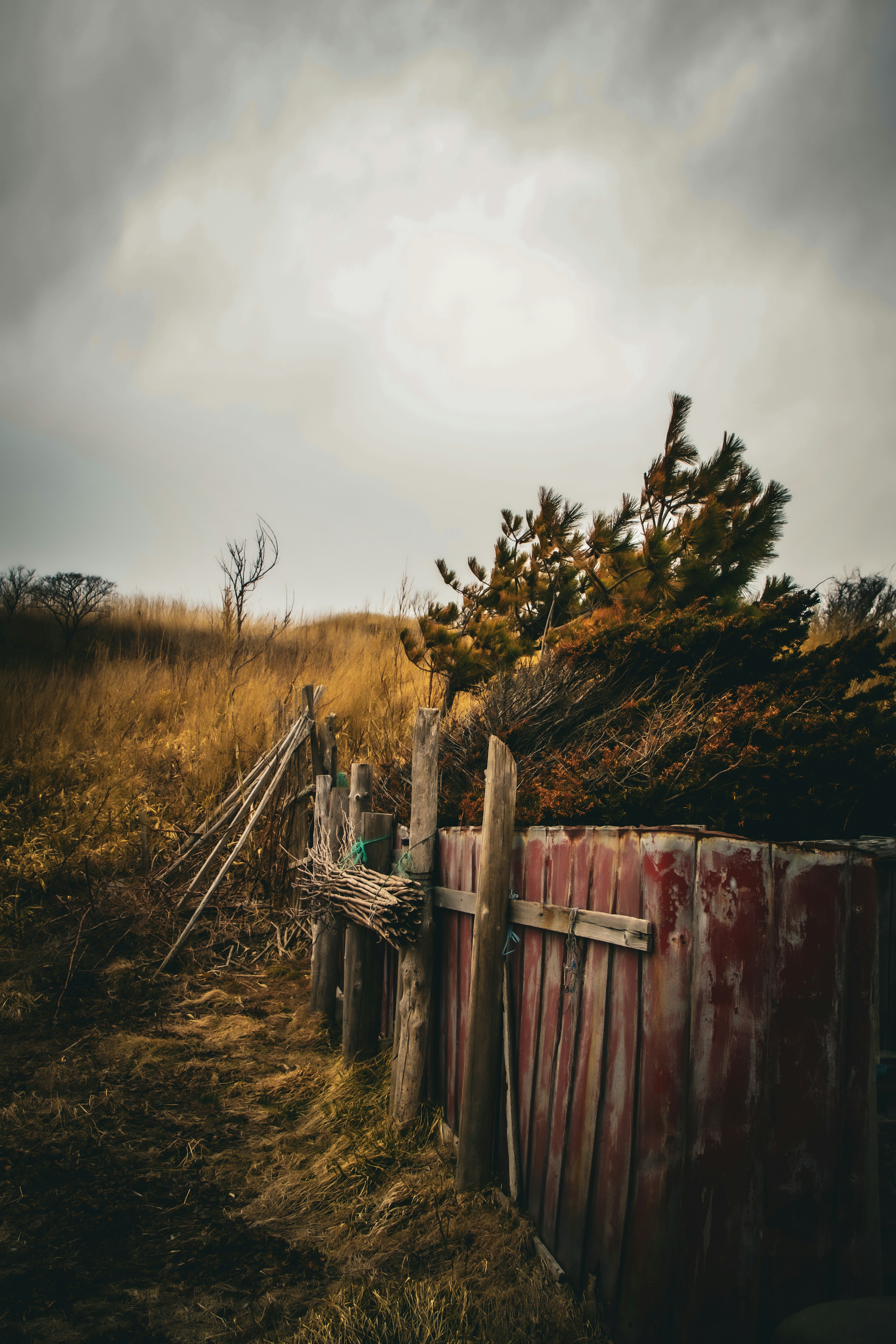 Old red fence in a desolate landscape with dry grass and trees