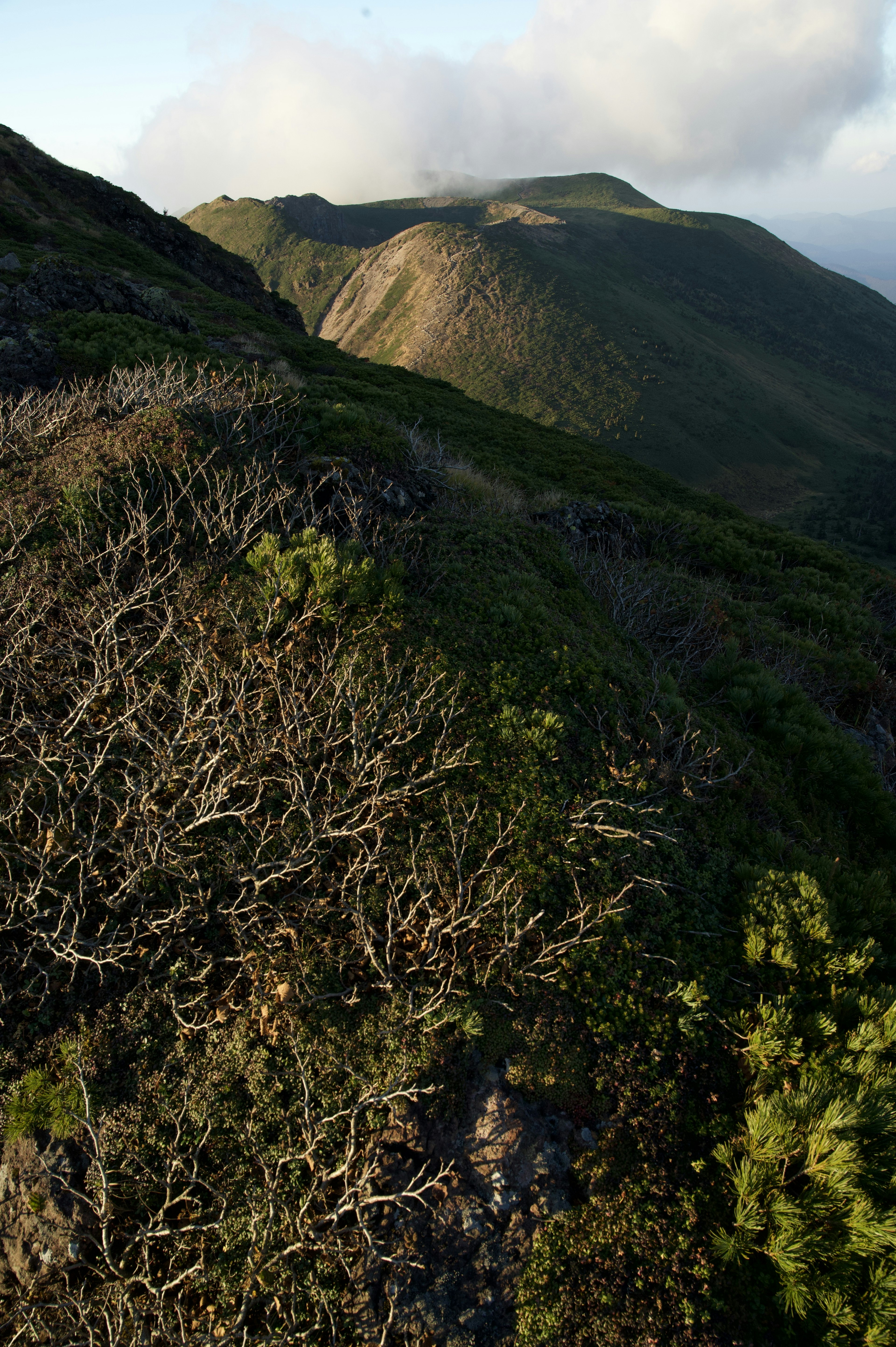 山の斜面に広がる乾燥した植生と遠くの山々の景色