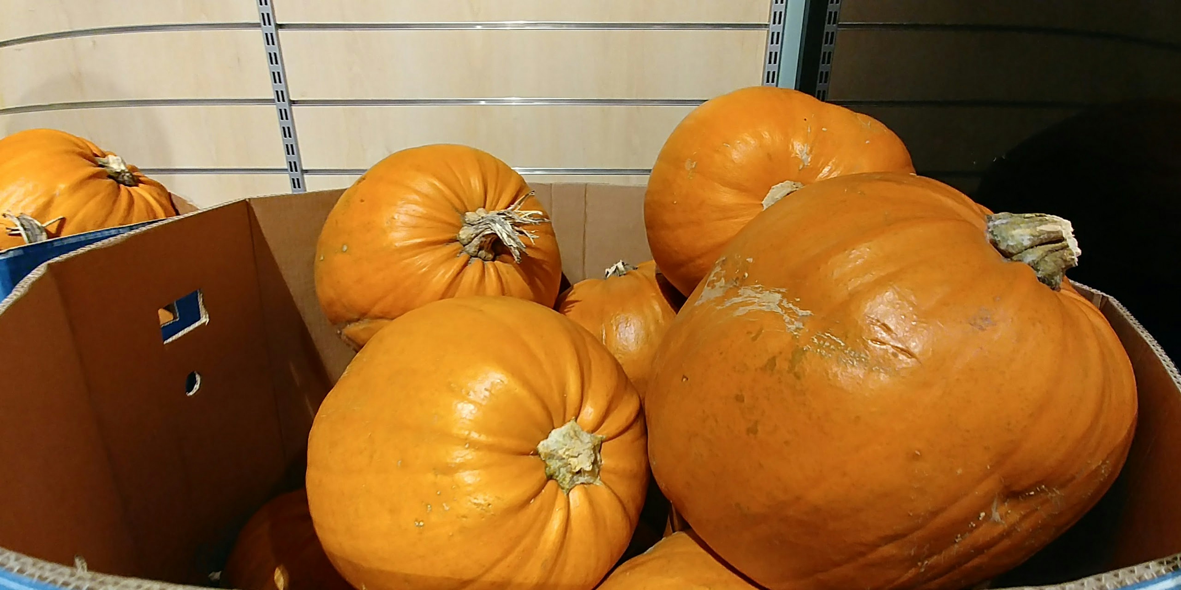 Una caja de cartón llena de varias calabazas naranjas apiladas juntas