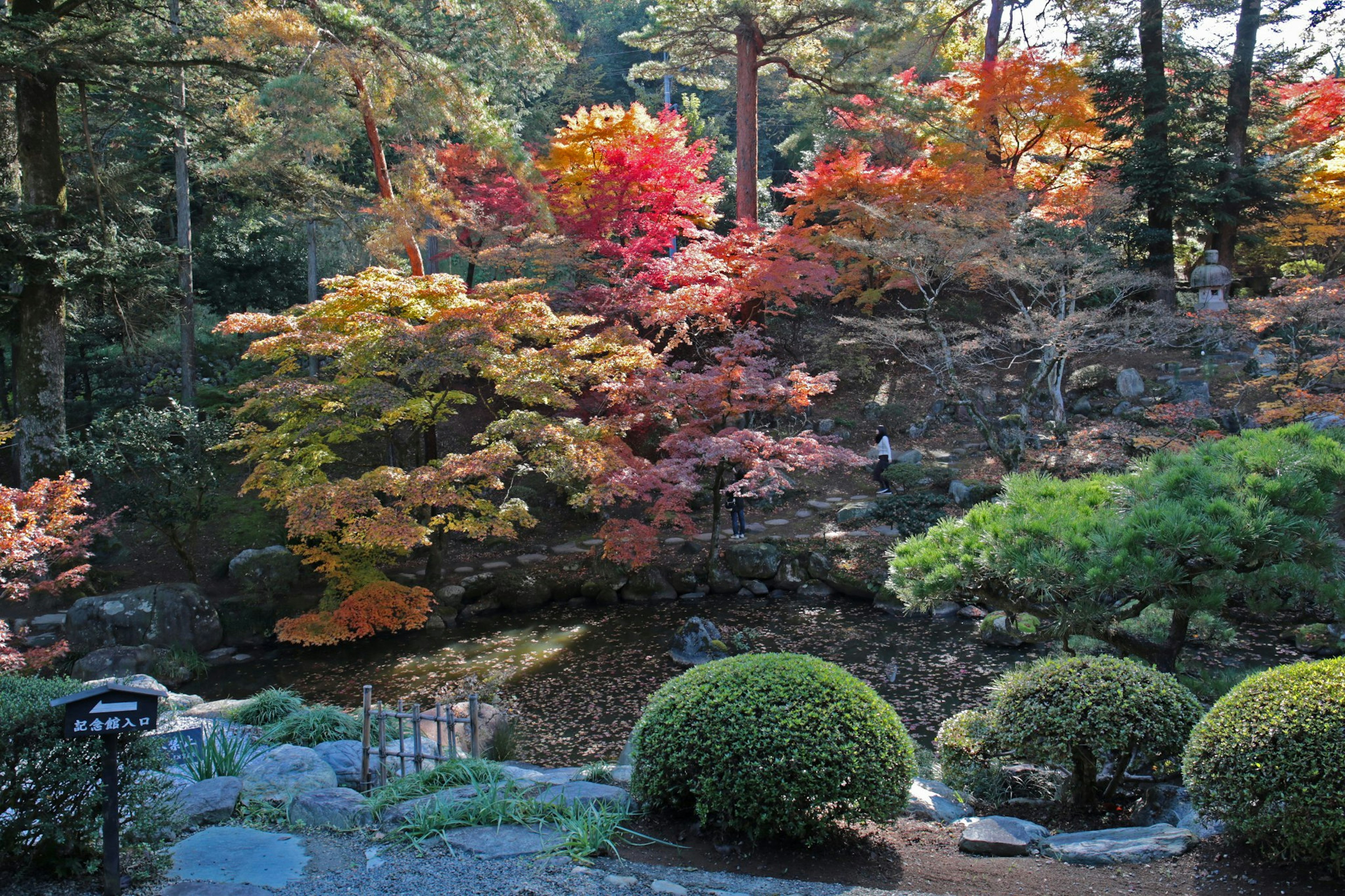 Bellissimo giardino giapponese con fogliame autunnale colorato