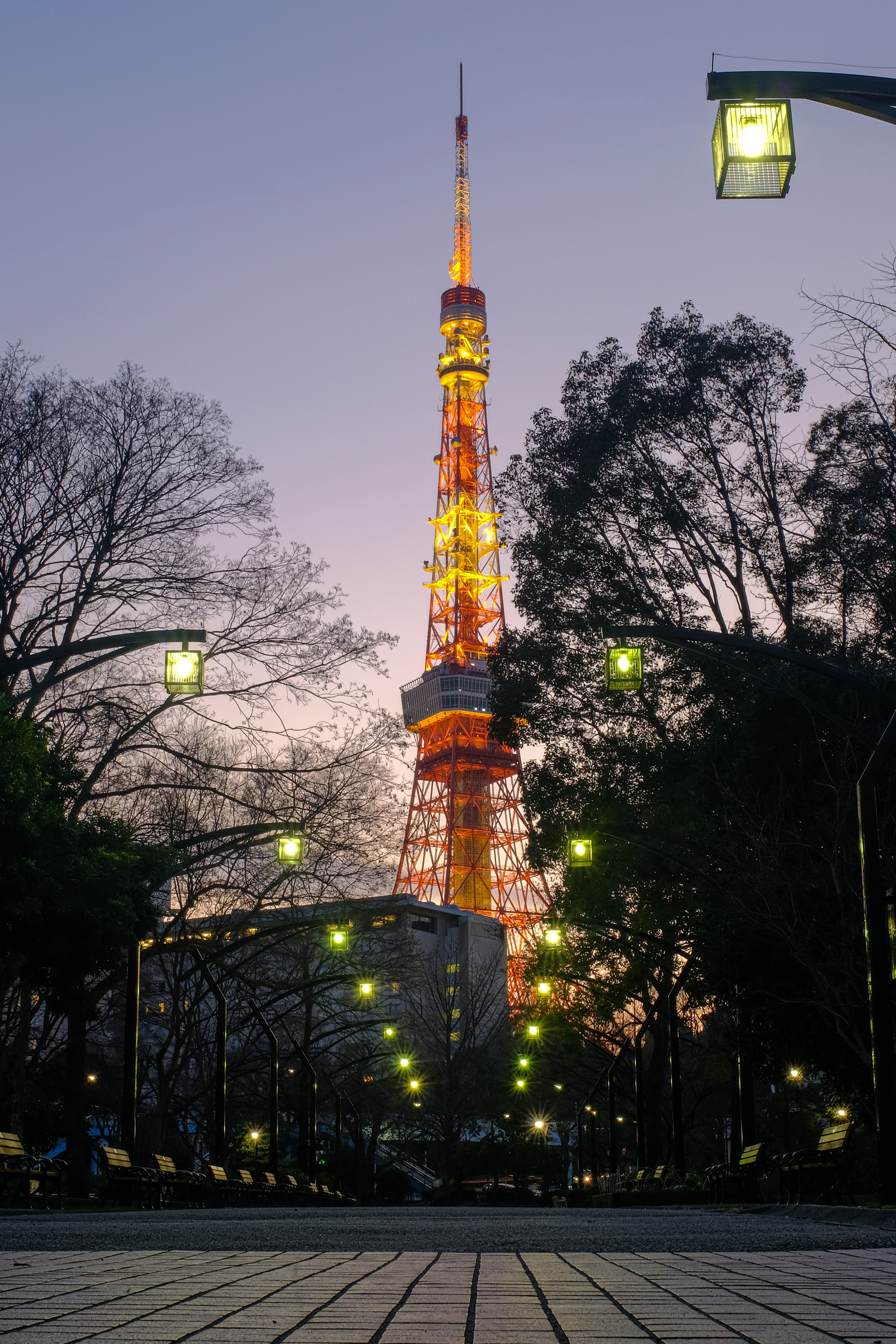 Menara Tokyo yang diterangi saat senja dengan lampu oranye dan kuning dikelilingi pepohonan dan lampu jalan