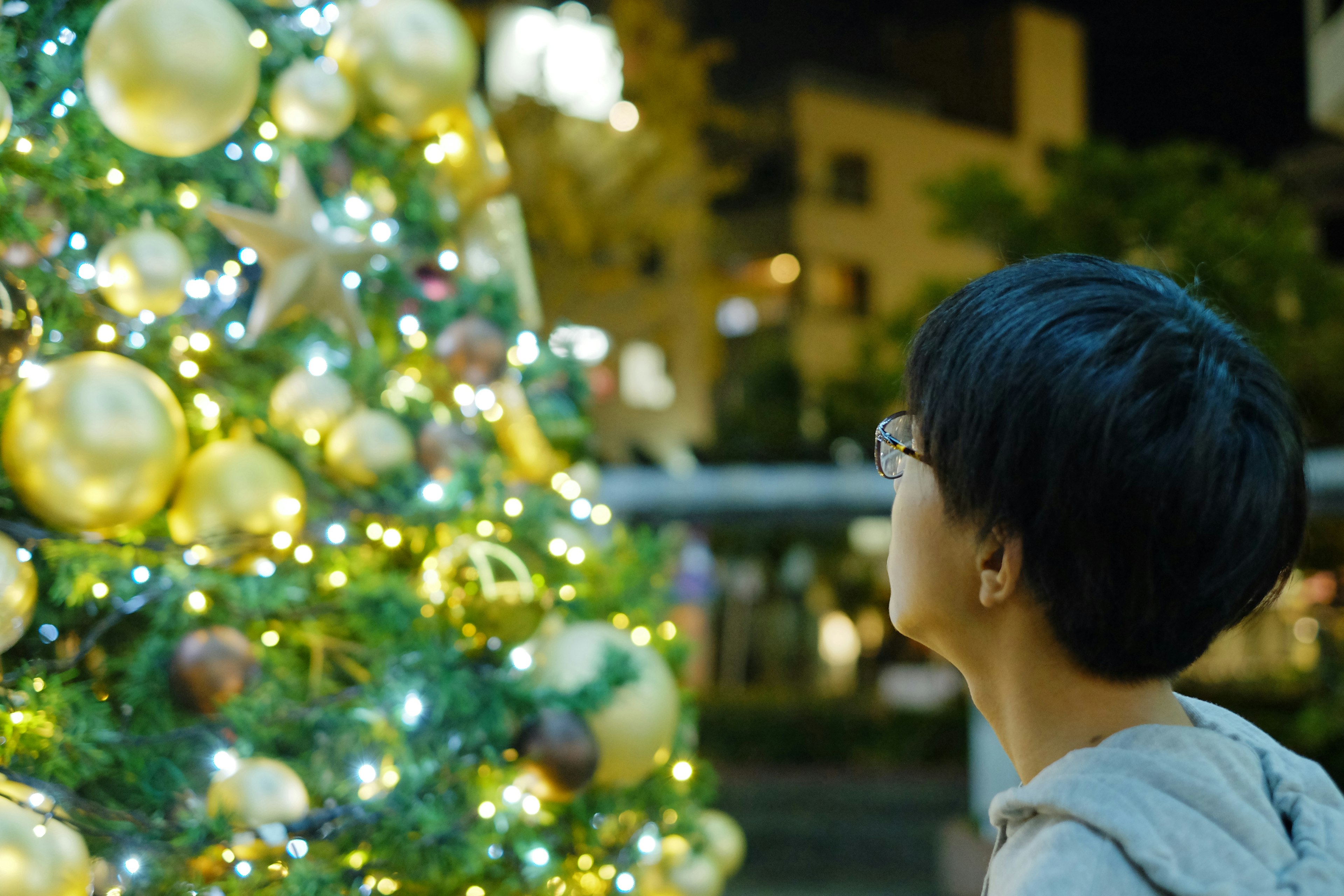 クリスマスツリーを見上げる子供の横顔と装飾されたツリー