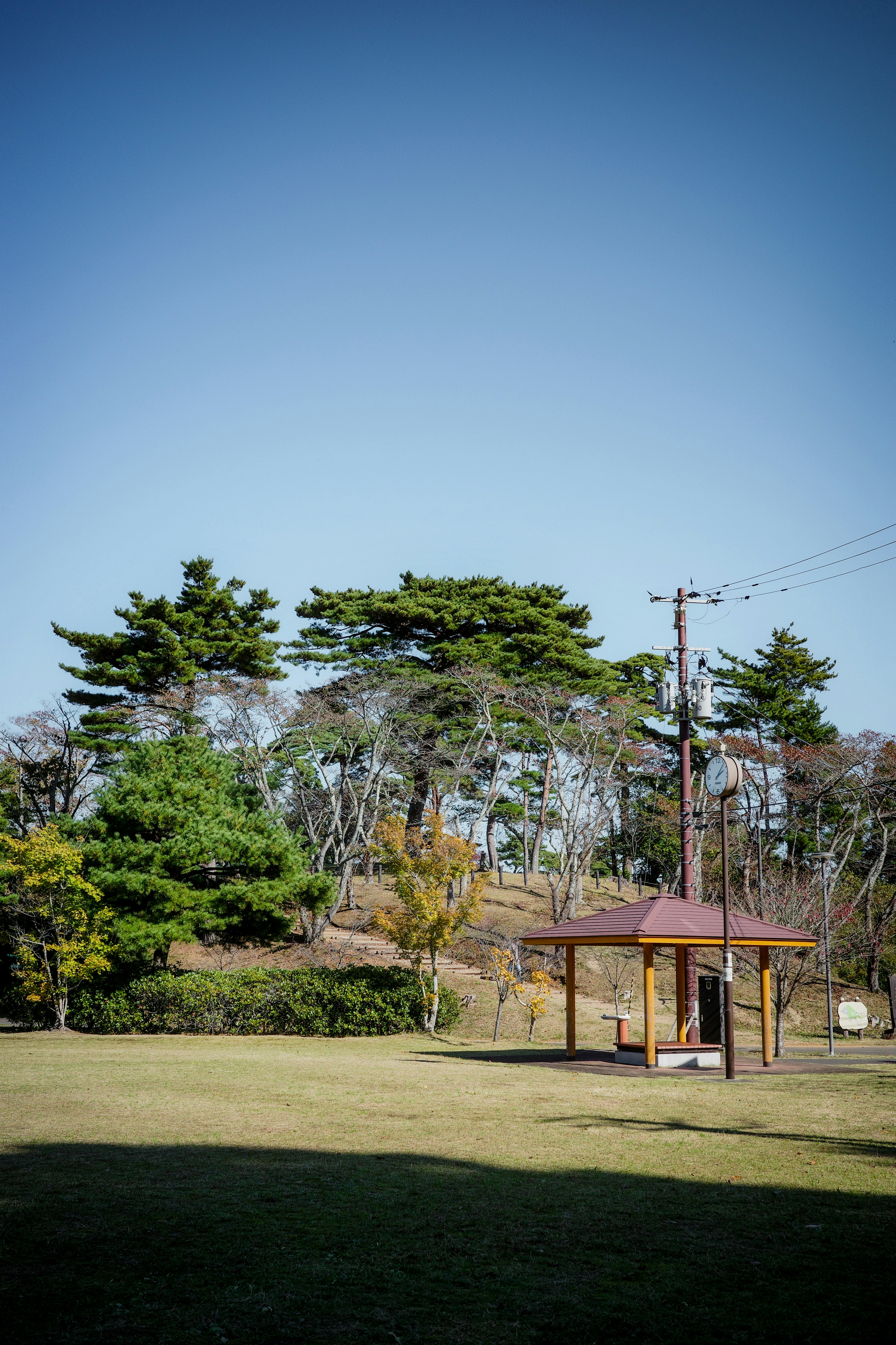 青空の下にある木々と小屋のある風景