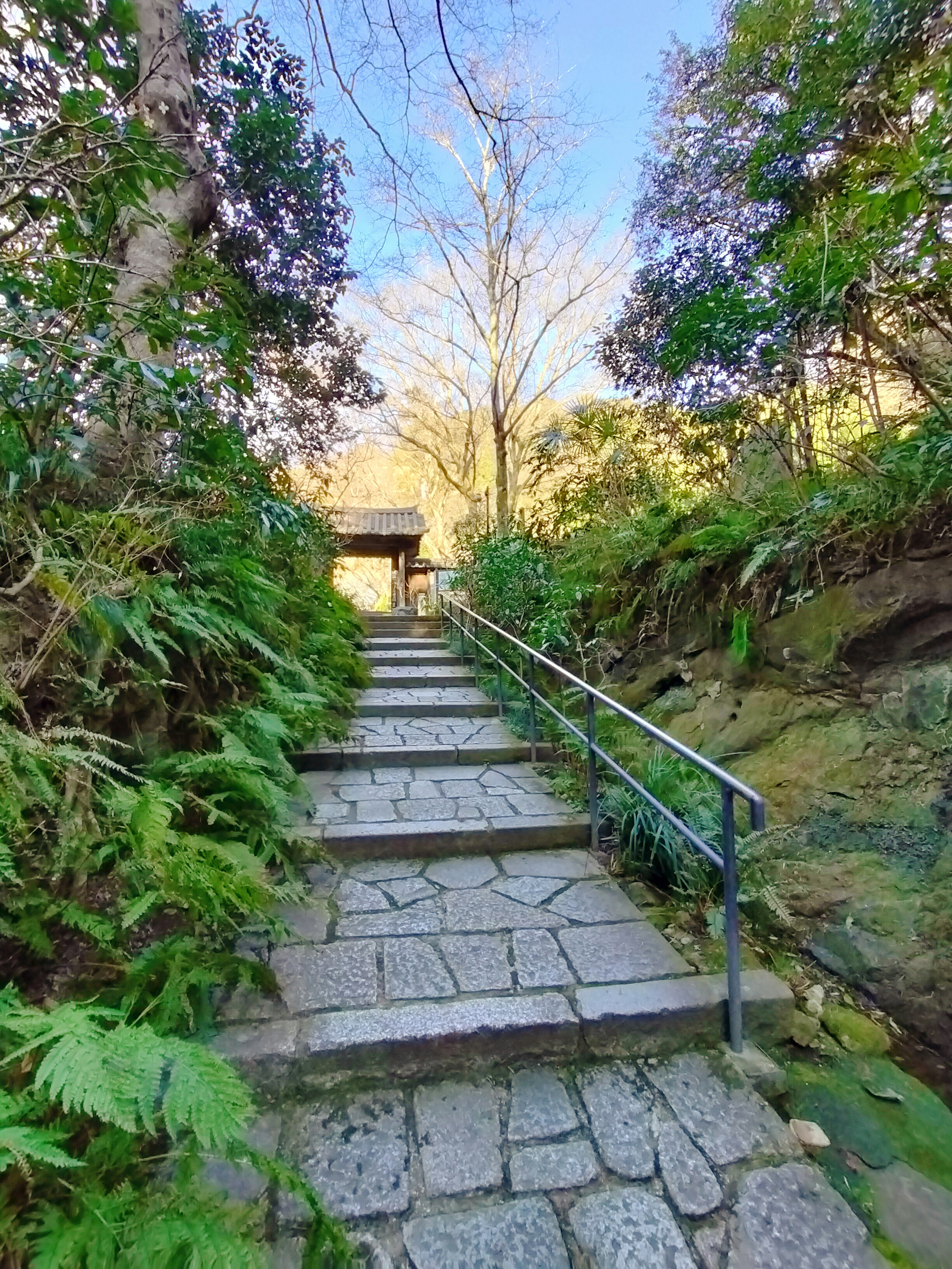 Escaleras de piedra rodeadas de vegetación exuberante que llevan a una estructura de madera