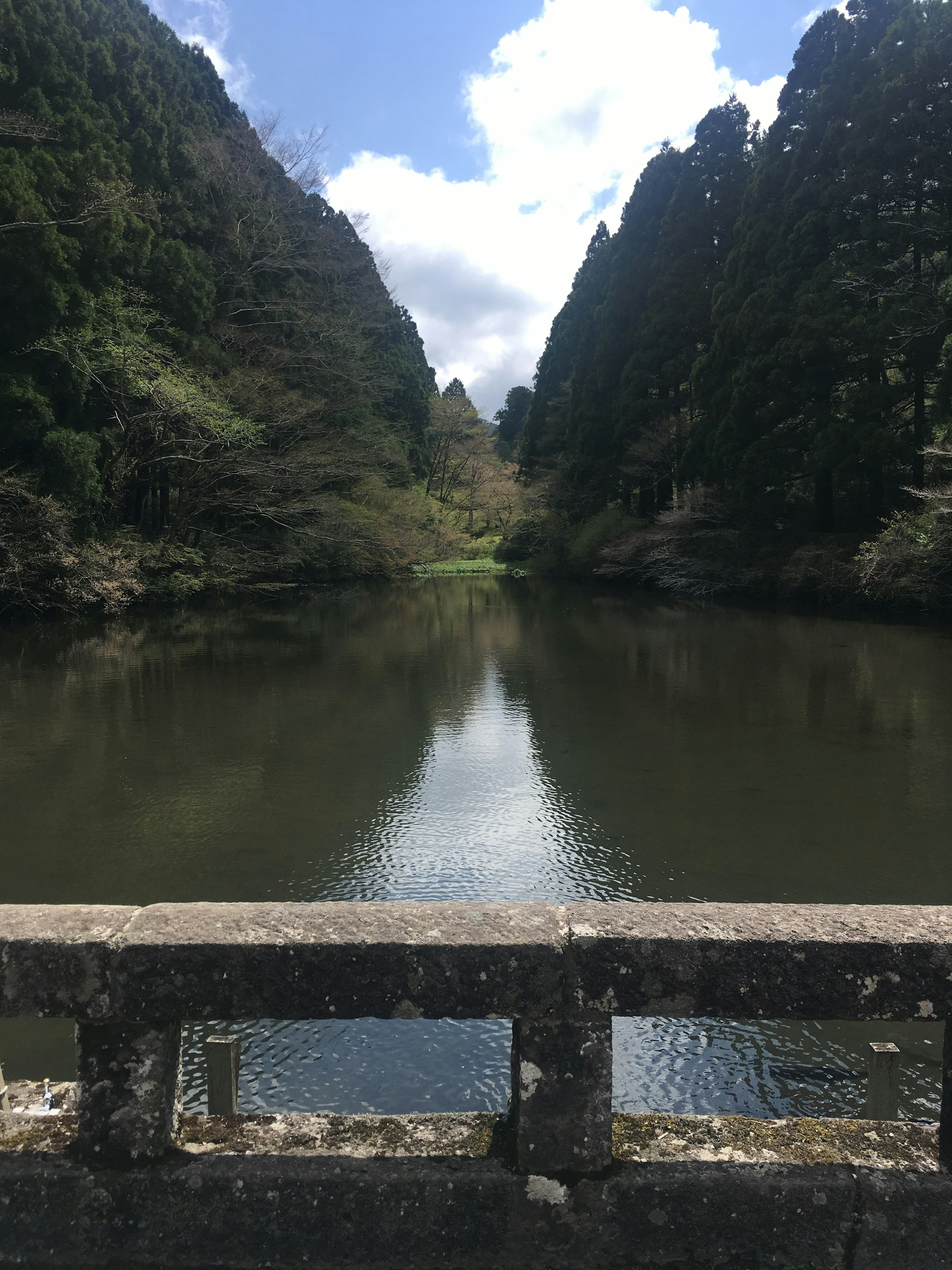 寧靜的湖泊被郁郁蔥蔥的山脈環繞，藍天映襯