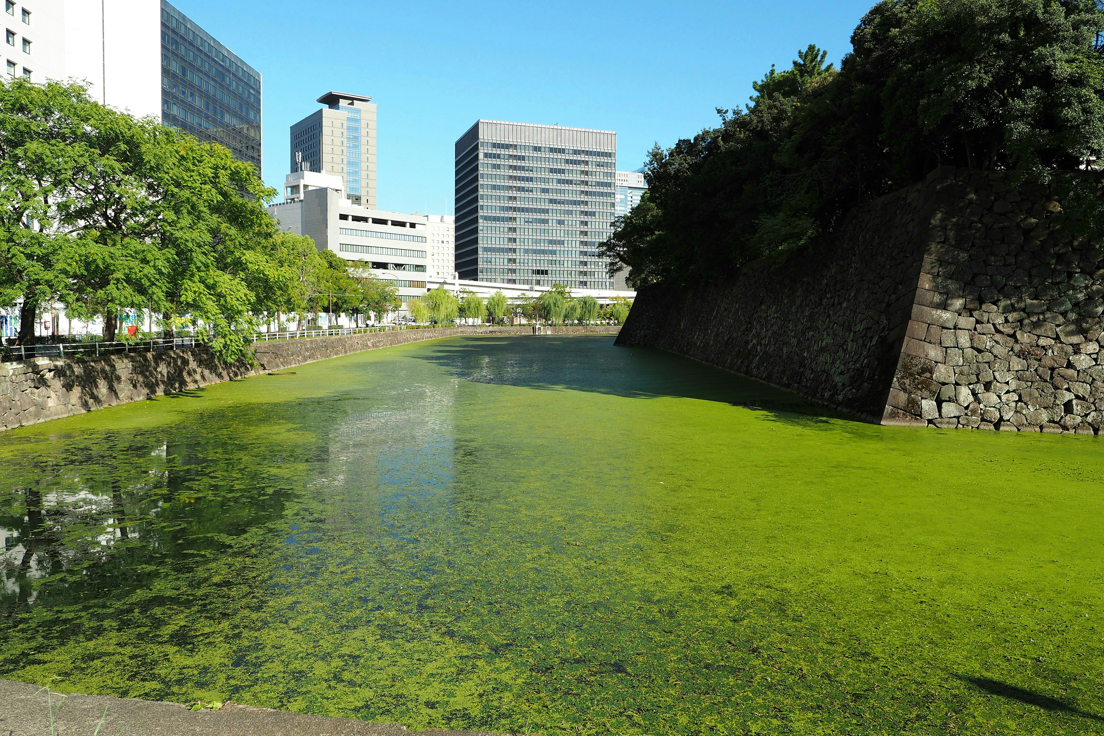 ทิวทัศน์เมืองที่มีน้ำสีเขียวและกำแพงหิน