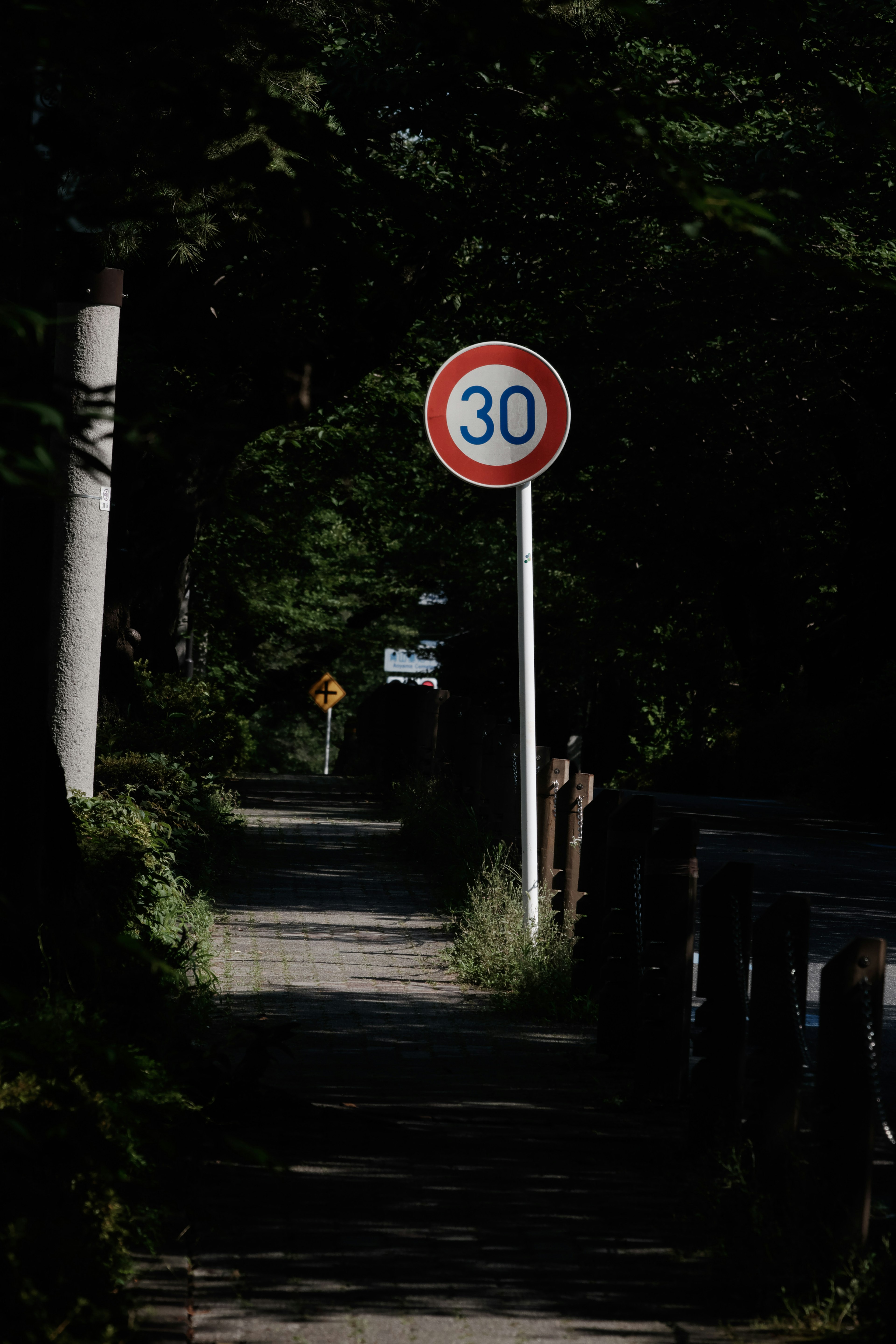 Un segnale di limite di velocità che indica 30 km/h lungo un sentiero circondato da alberi