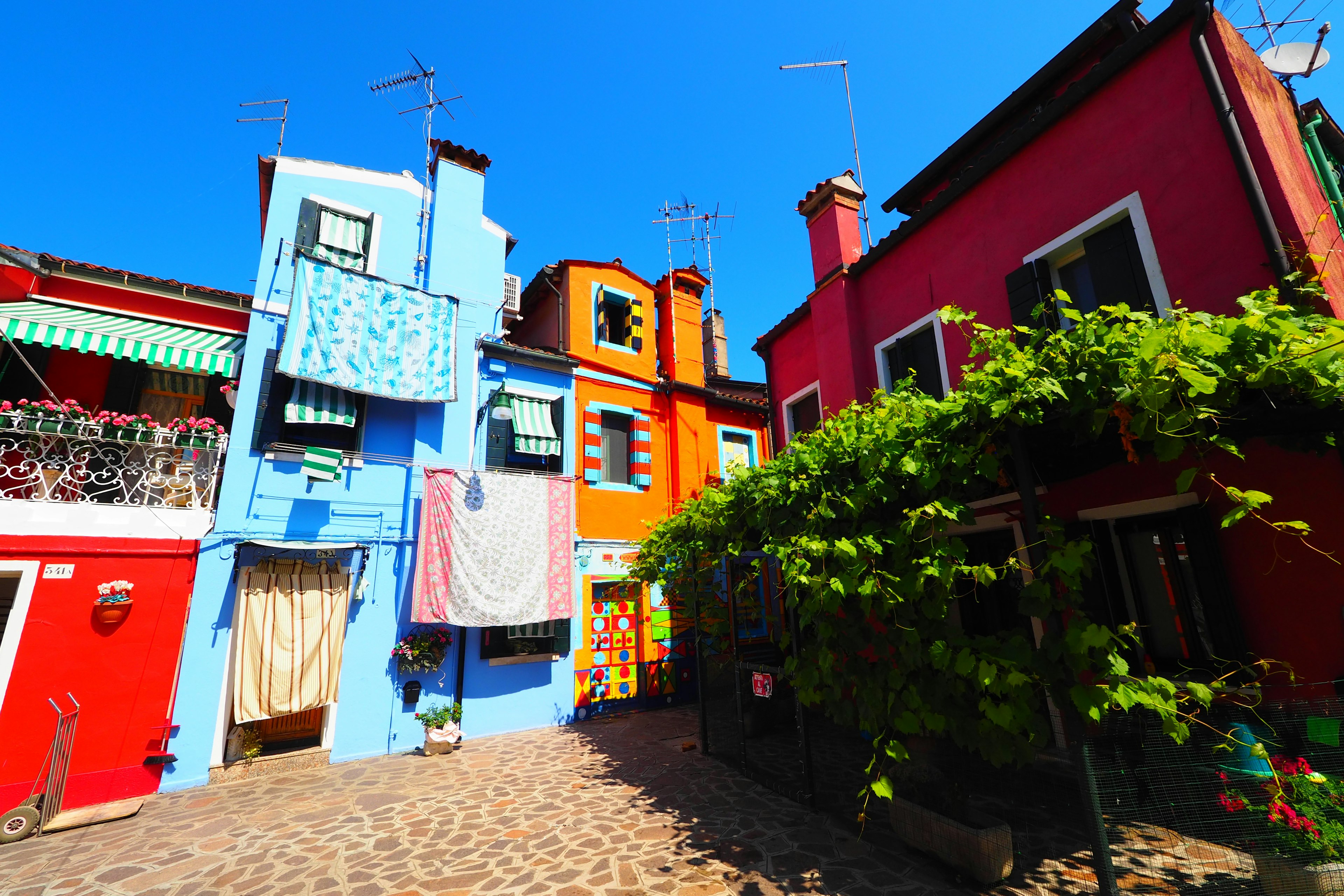 Maisons colorées le long d'une rue ciel bleu vibrant et plantes vertes luxuriantes