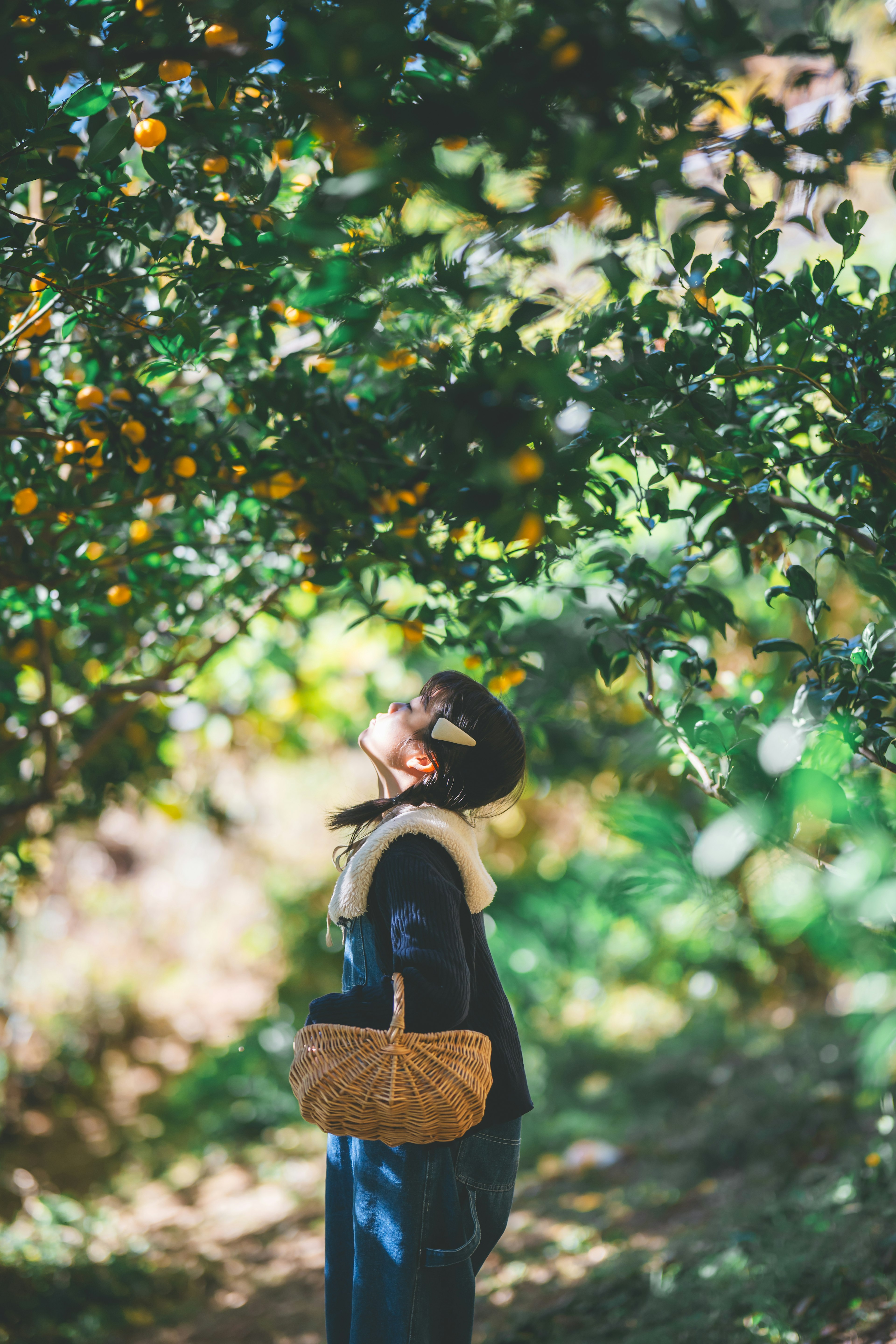 Mujer mirando hacia arriba debajo de un naranjo con frutas visibles