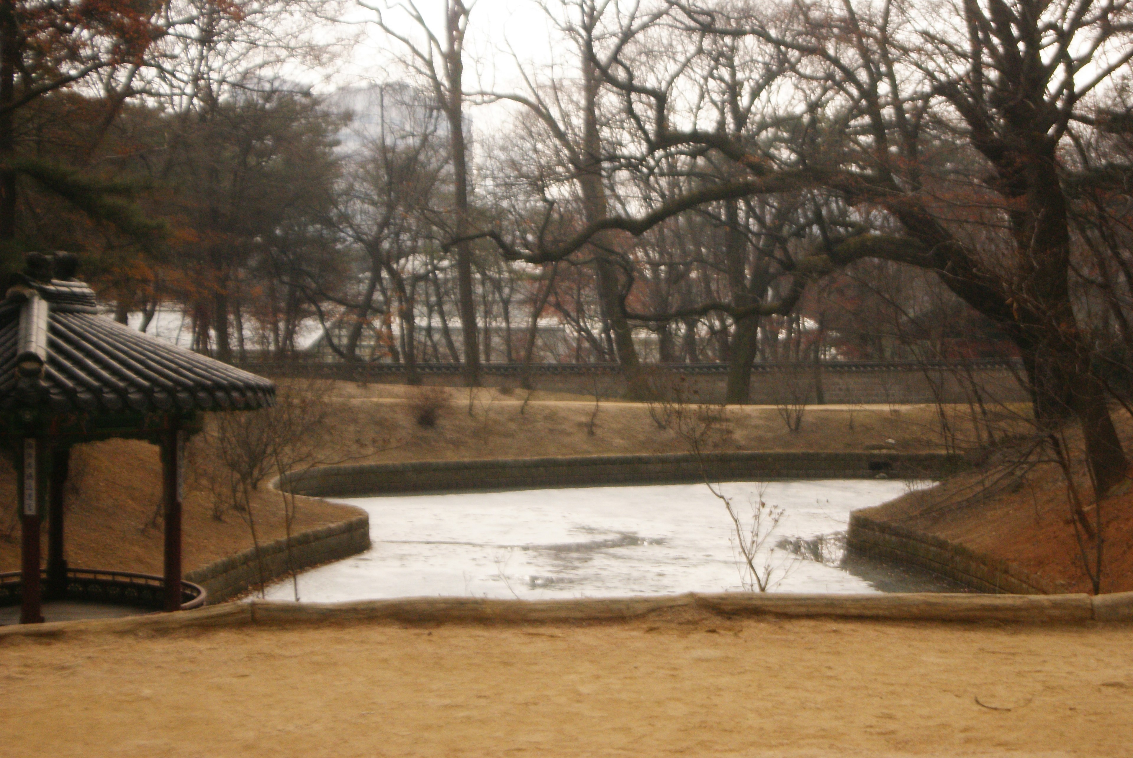 宁静的公园场景，包含池塘和光秃的树木