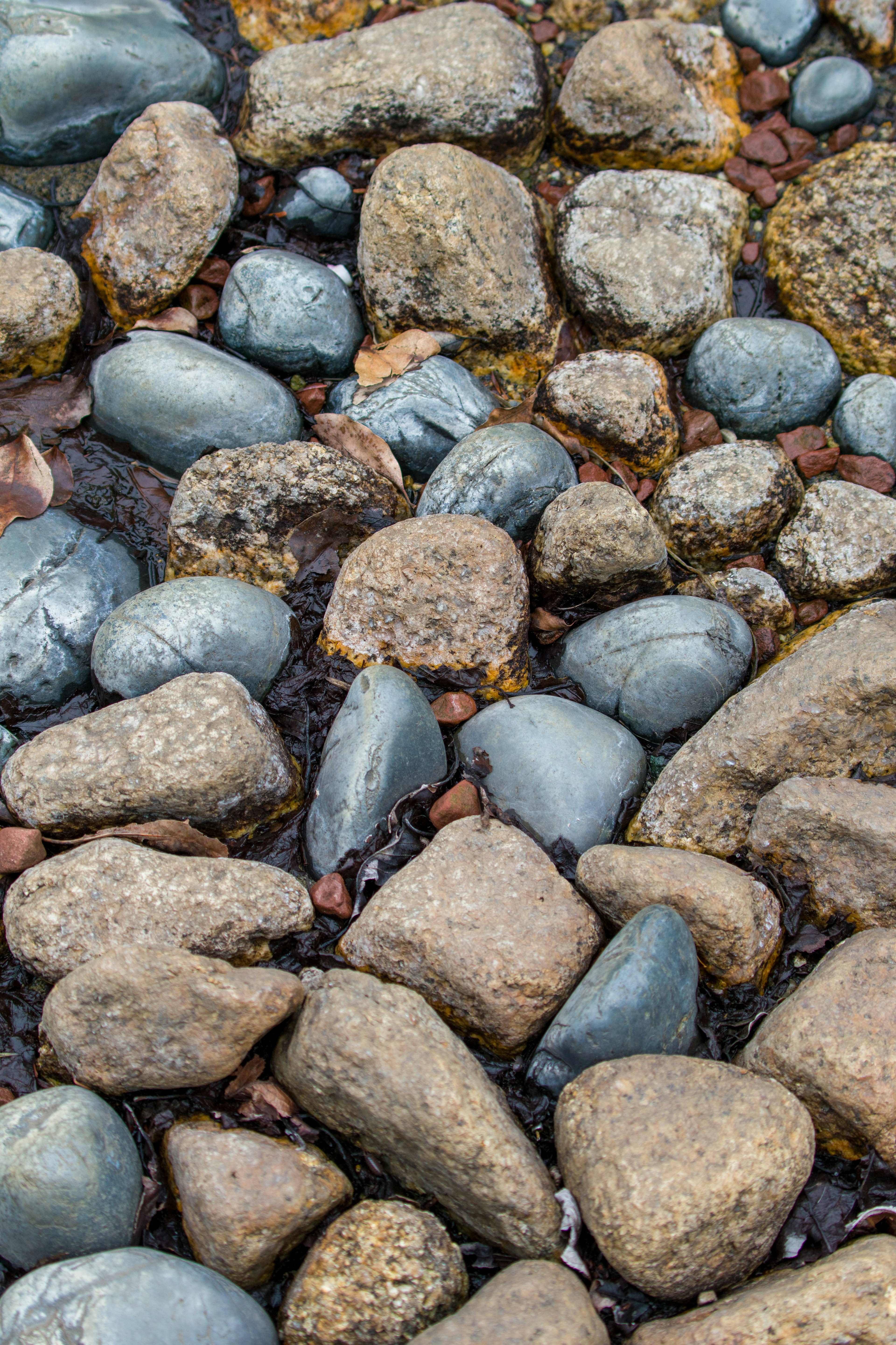 Close-up of various shapes and colors of stones scattered on the ground