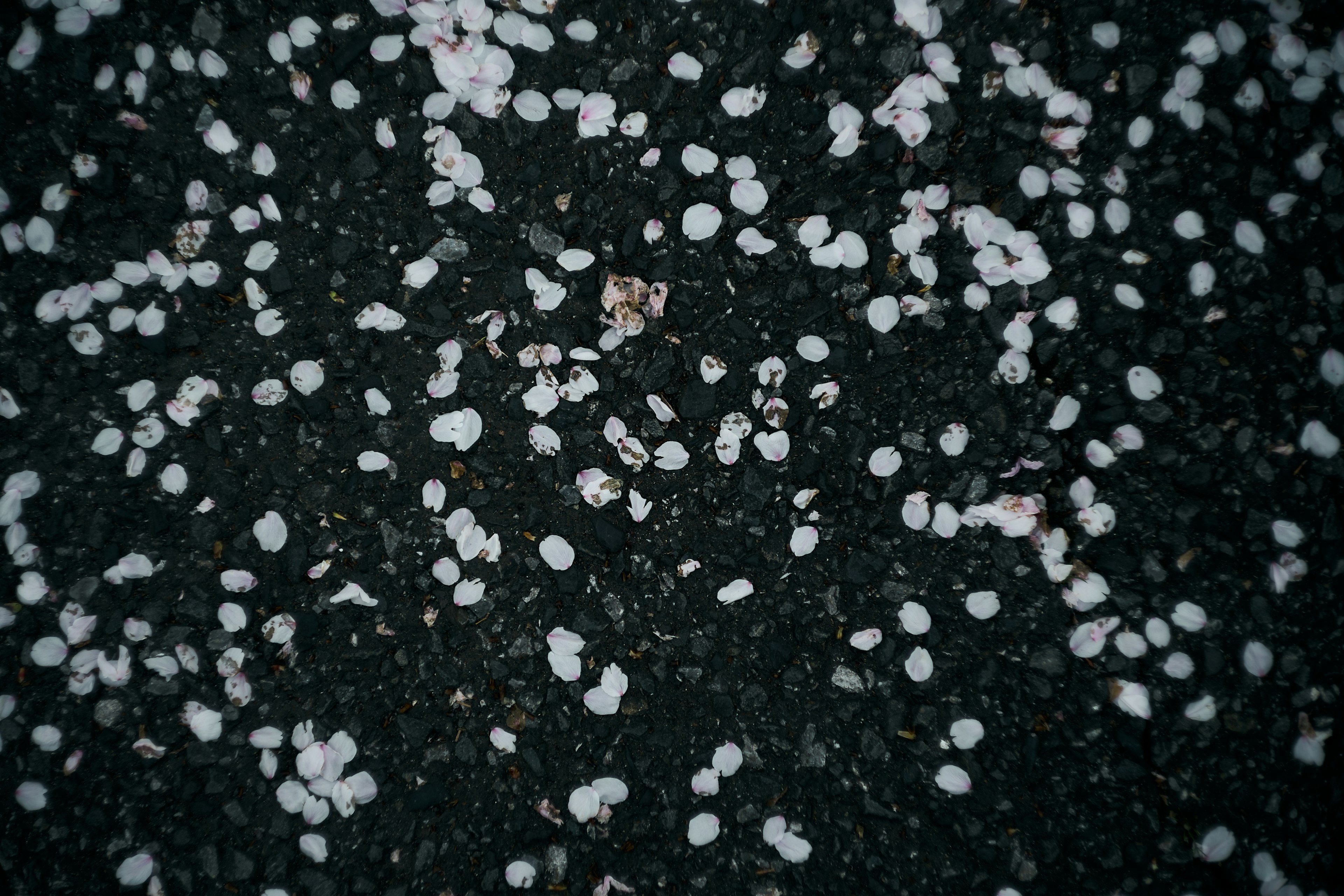 Image of white granular substance scattered on a black background