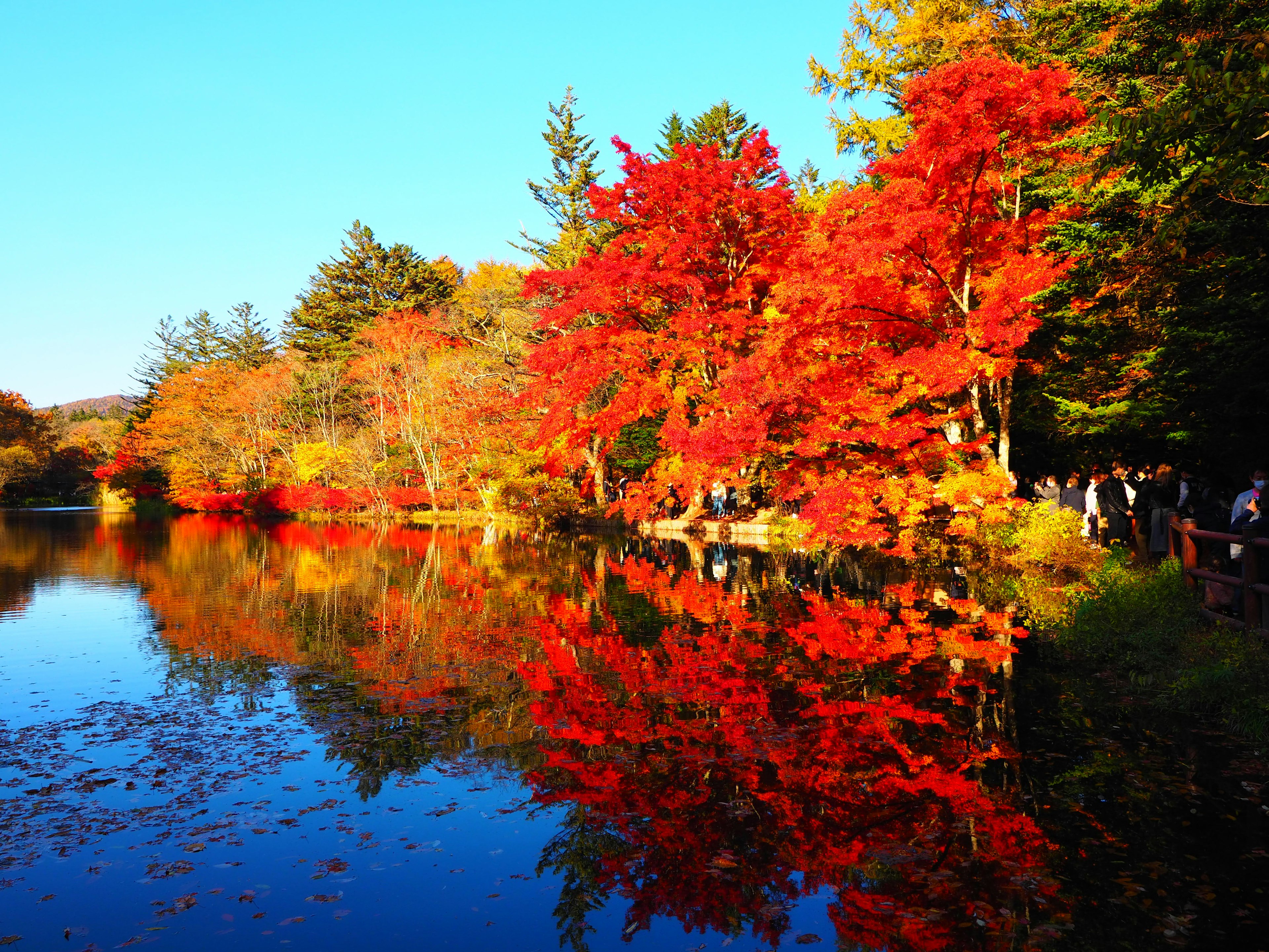 Hermoso paisaje de follaje de otoño reflejado en un lago