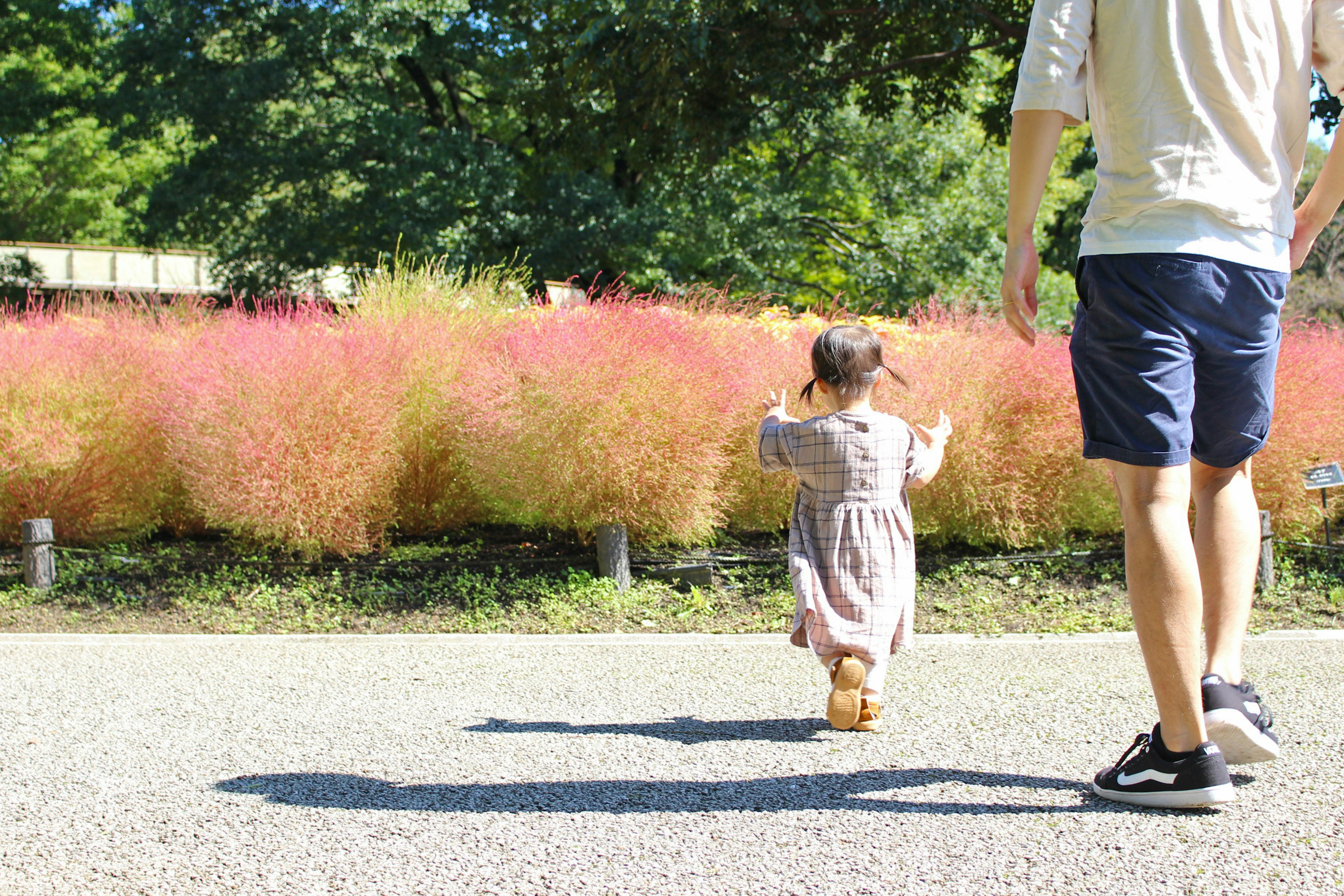 Ein Kind und ein Erwachsener gehen in einem Park mit bunten Pflanzen im Hintergrund