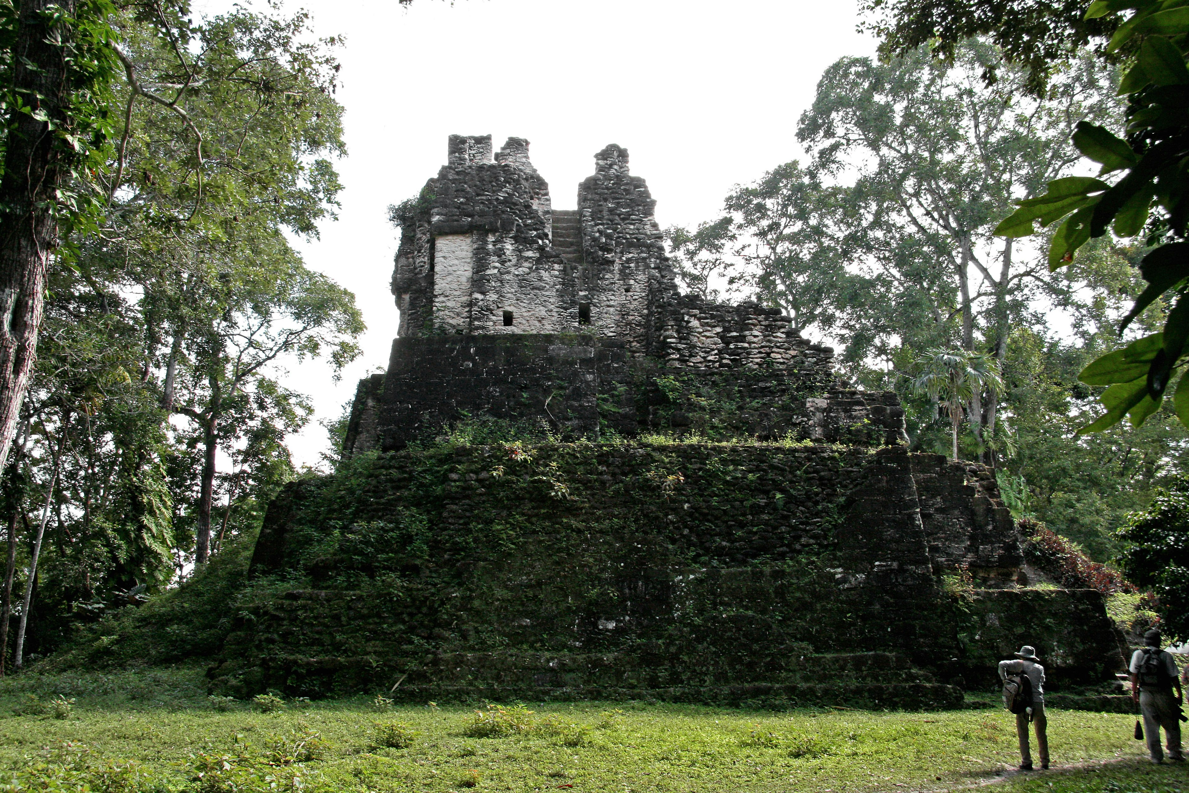 Ruines anciennes dans la jungle entourées d'arbres