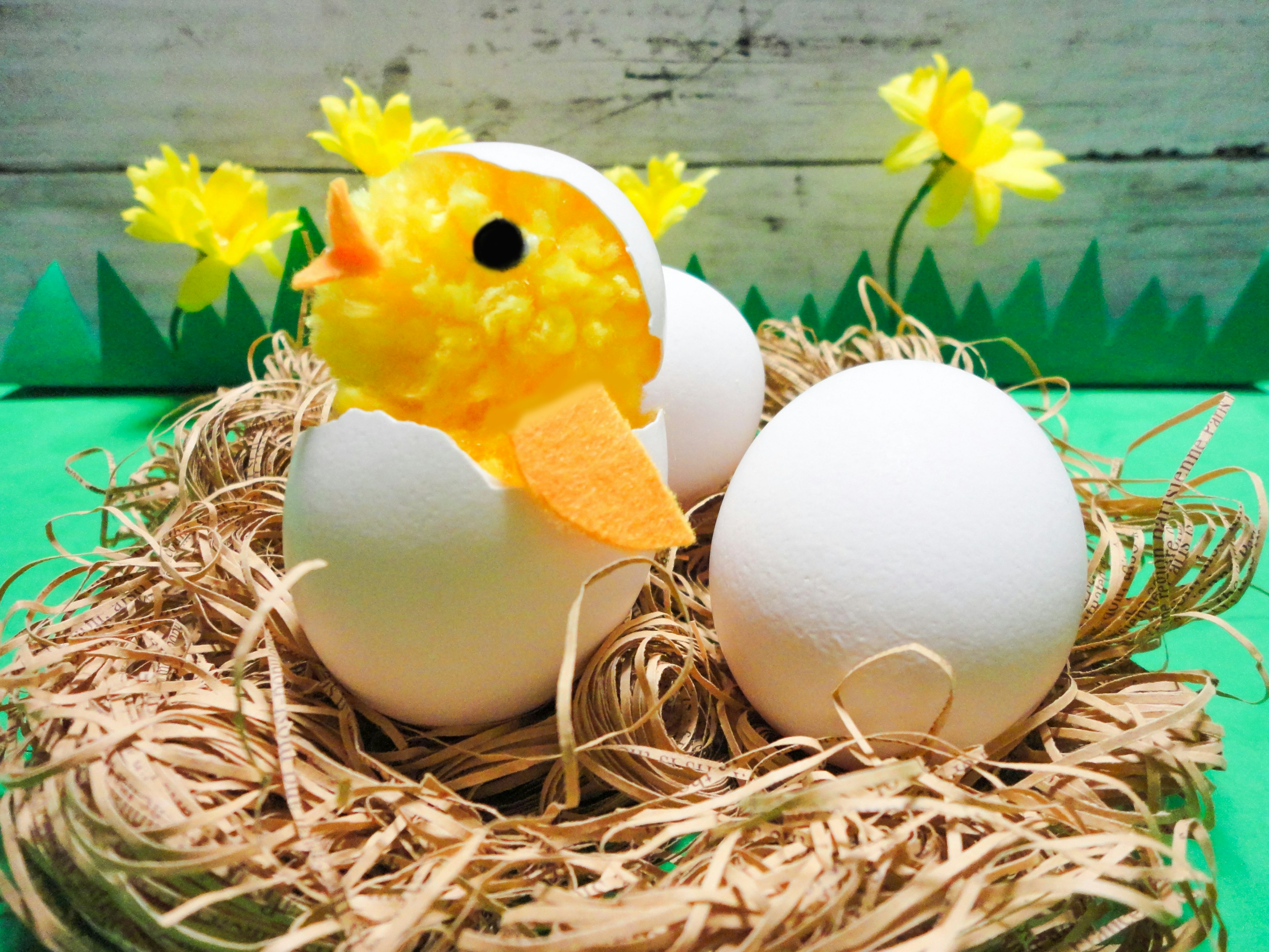 A yellow chick sitting on top of white eggs in a spring nest