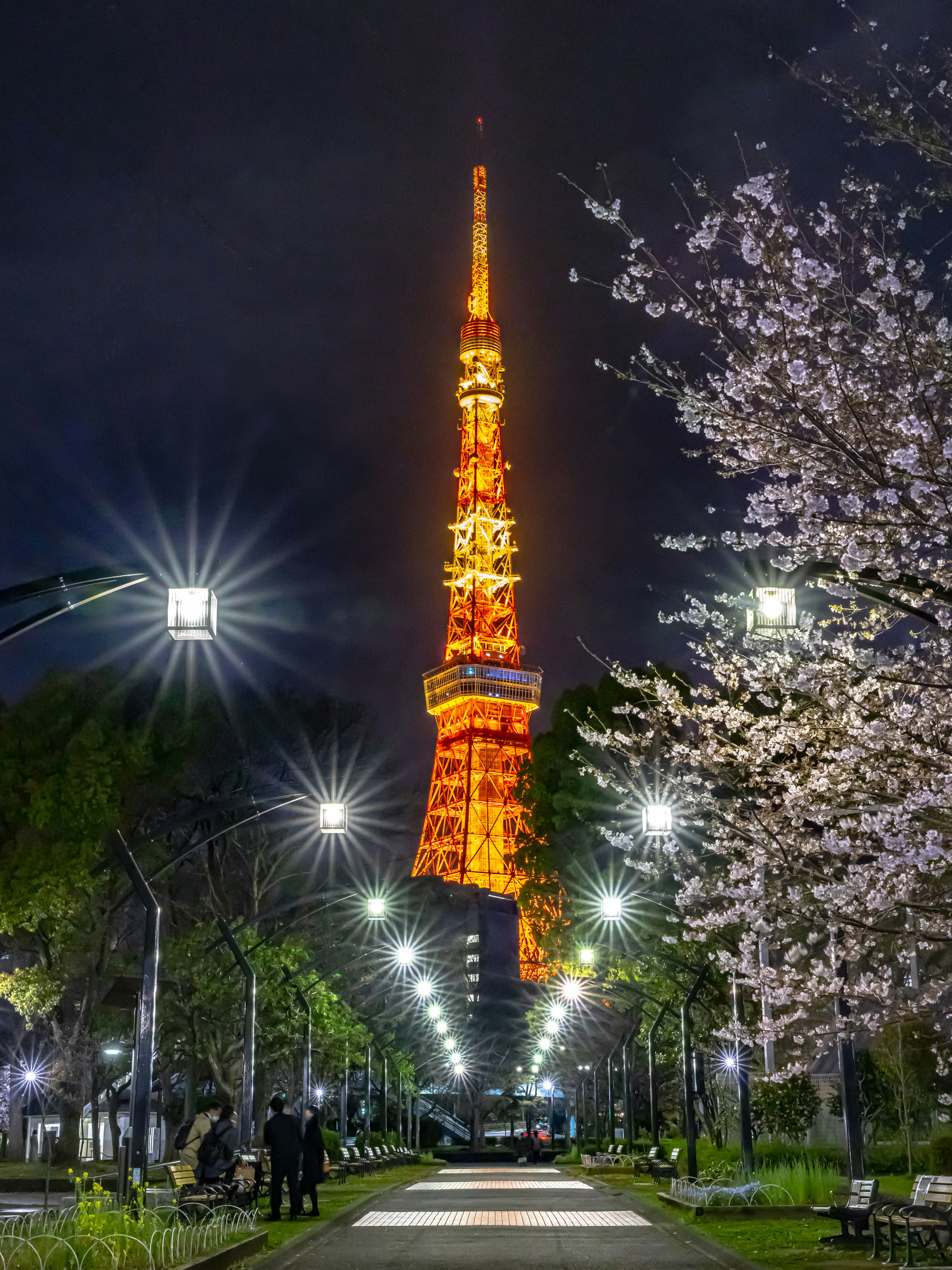 Torre di Tokyo illuminata di notte lungo un viale di ciliegi