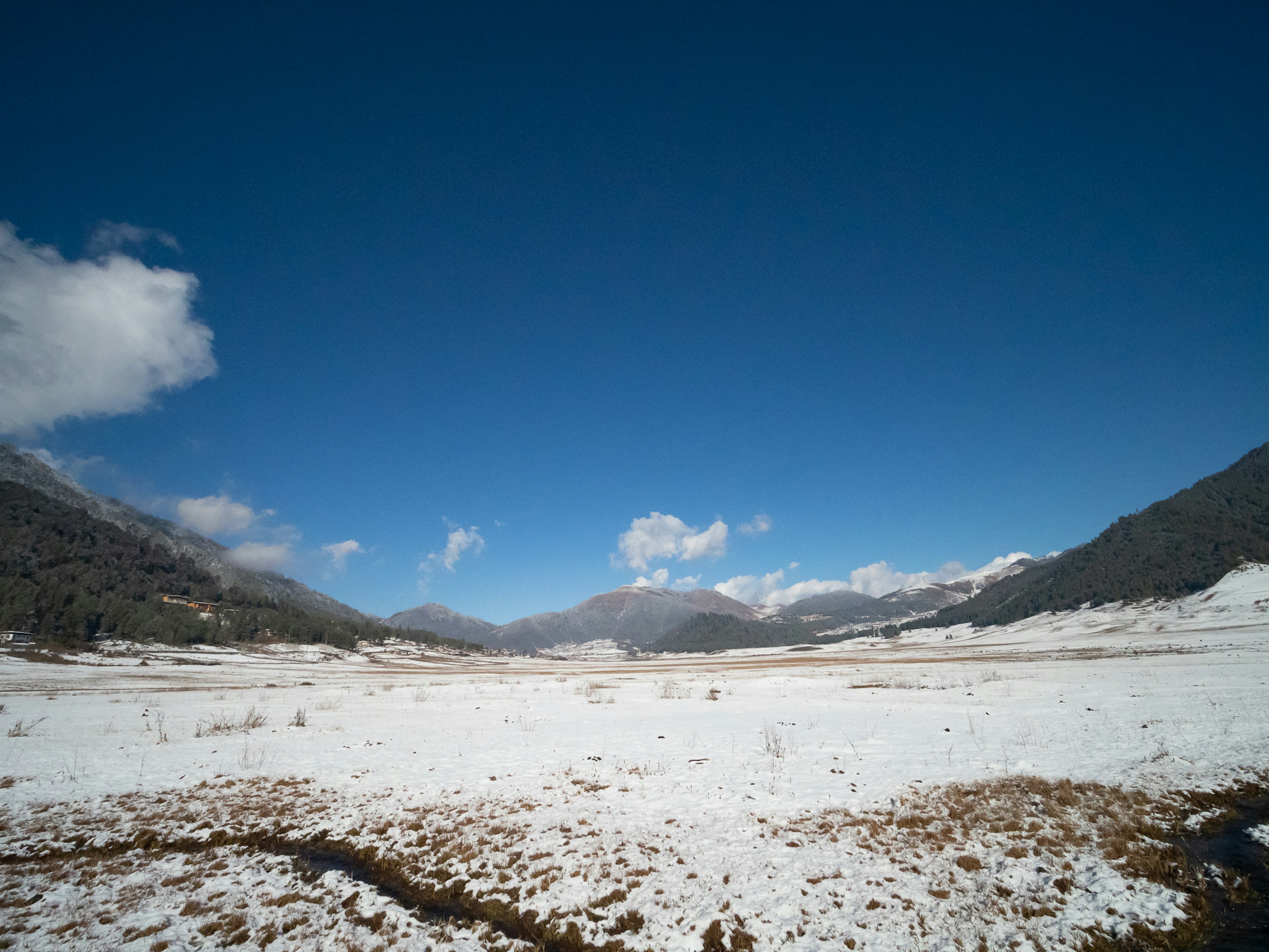 Amplio paisaje nevado bajo un cielo azul claro