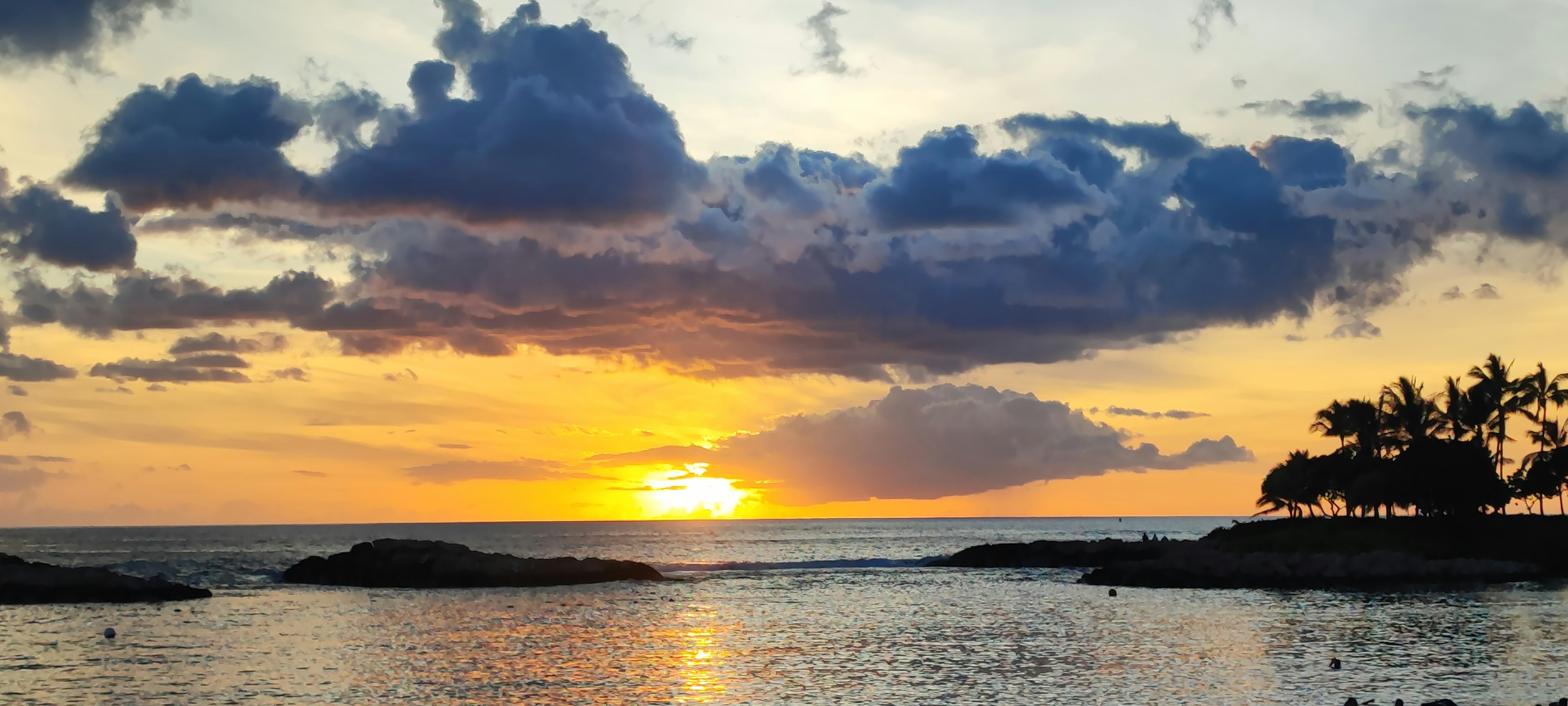 美しい夕日が海に沈む風景 様々な雲と木々が特徴