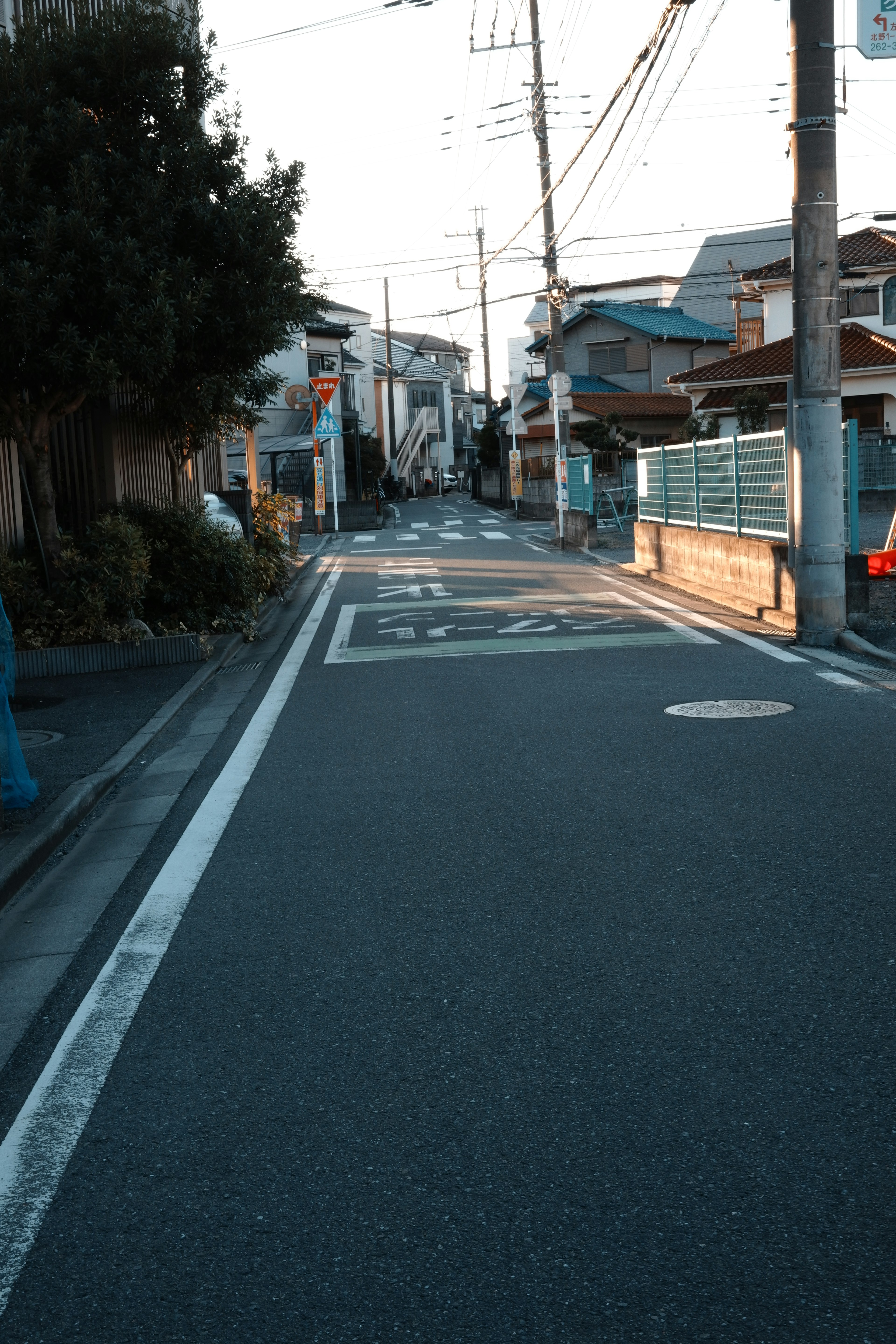 静かな住宅街の道と家々の風景