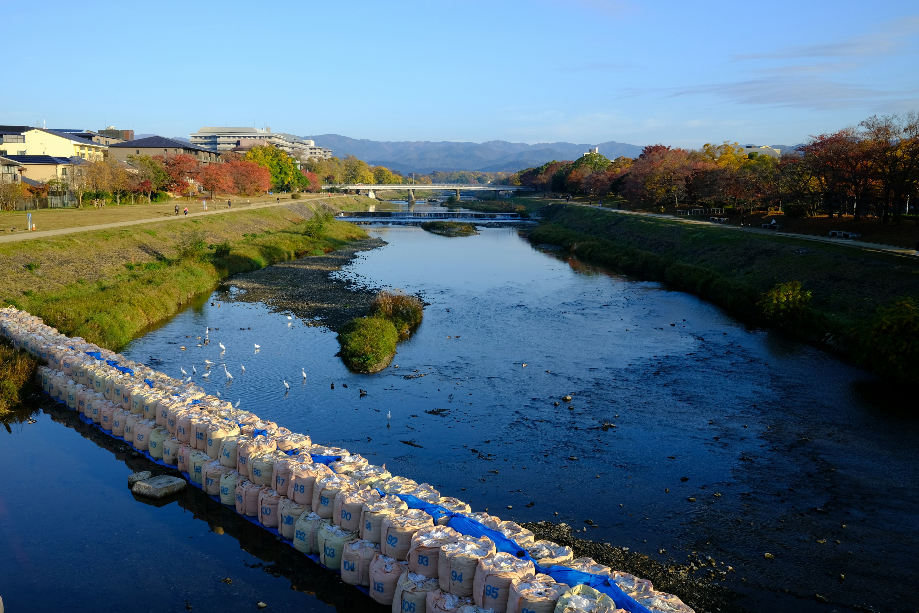 穏やかな川の風景と周囲の自然美