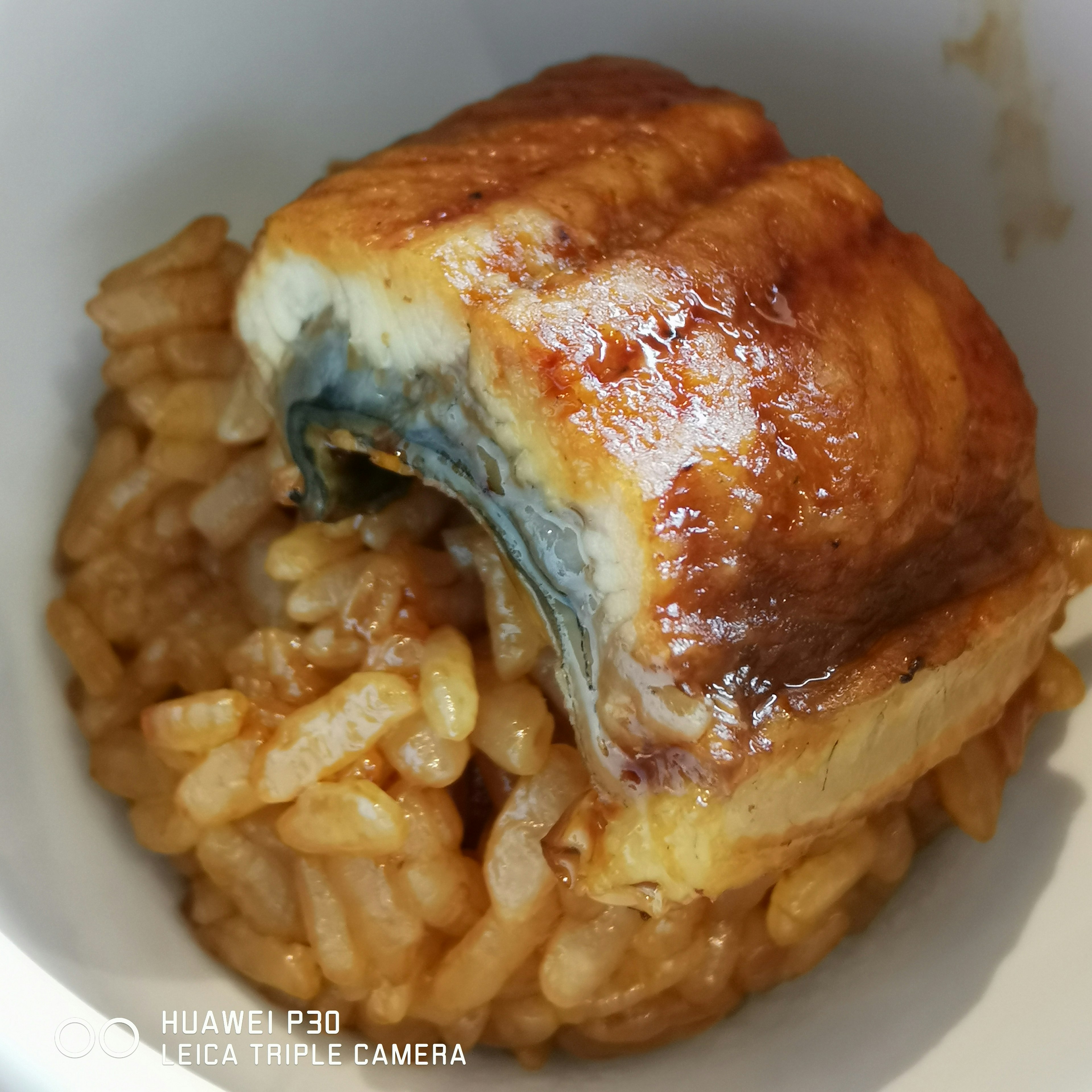 Grilled eel served on flavorful rice