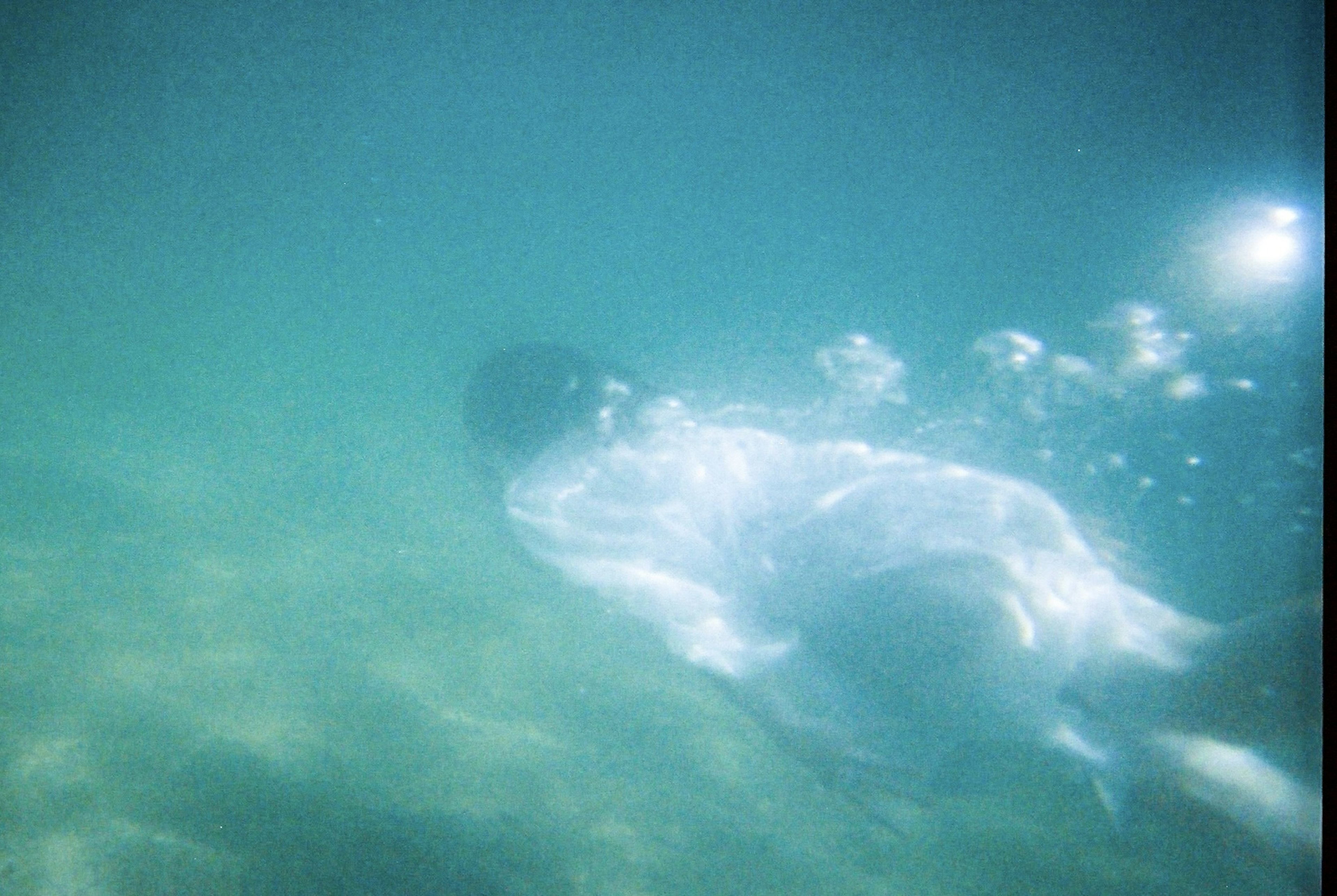 Silhouette d'une personne nageant sous l'eau avec des bulles