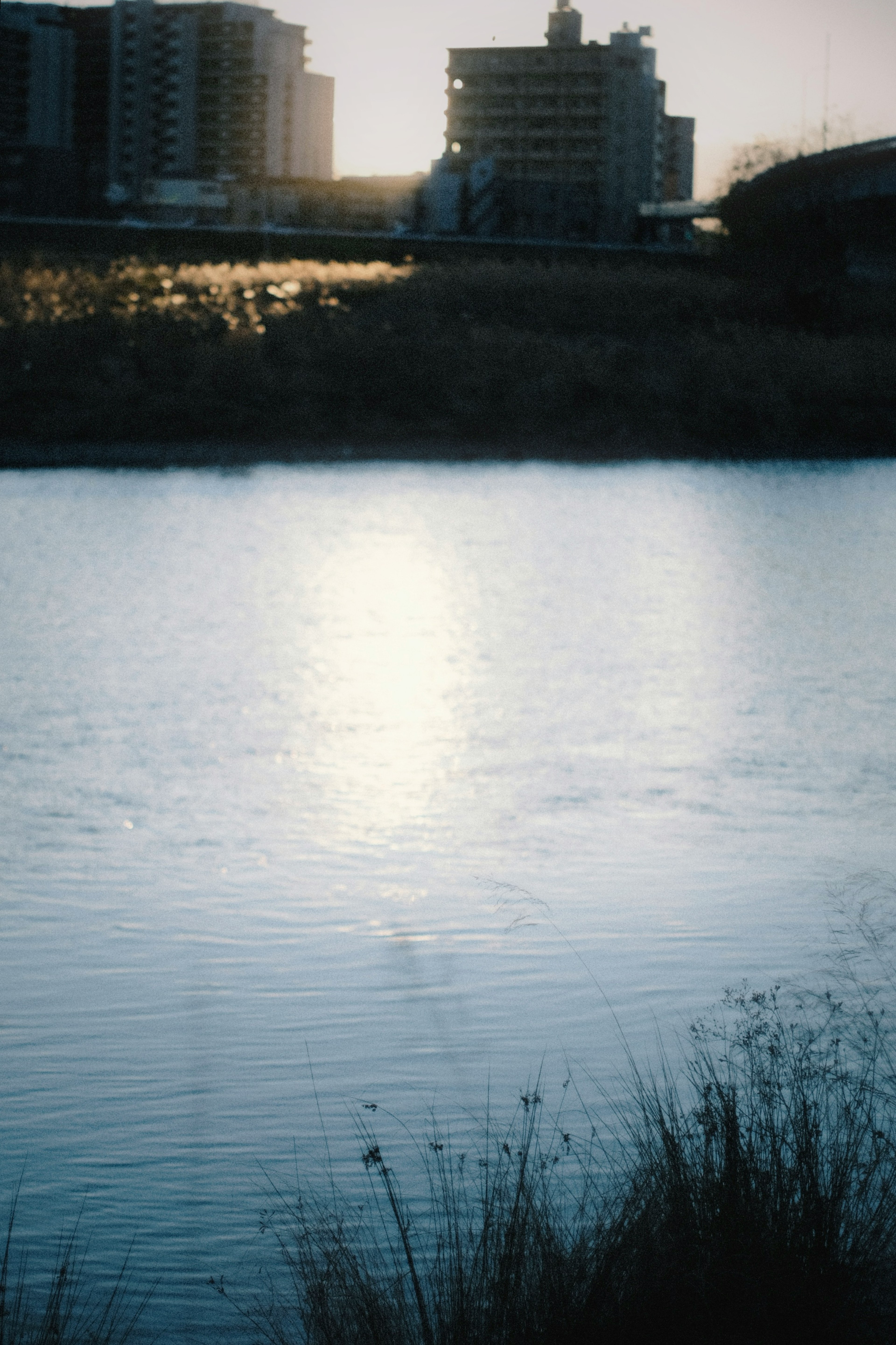 Escena de río tranquila con reflejos de luz