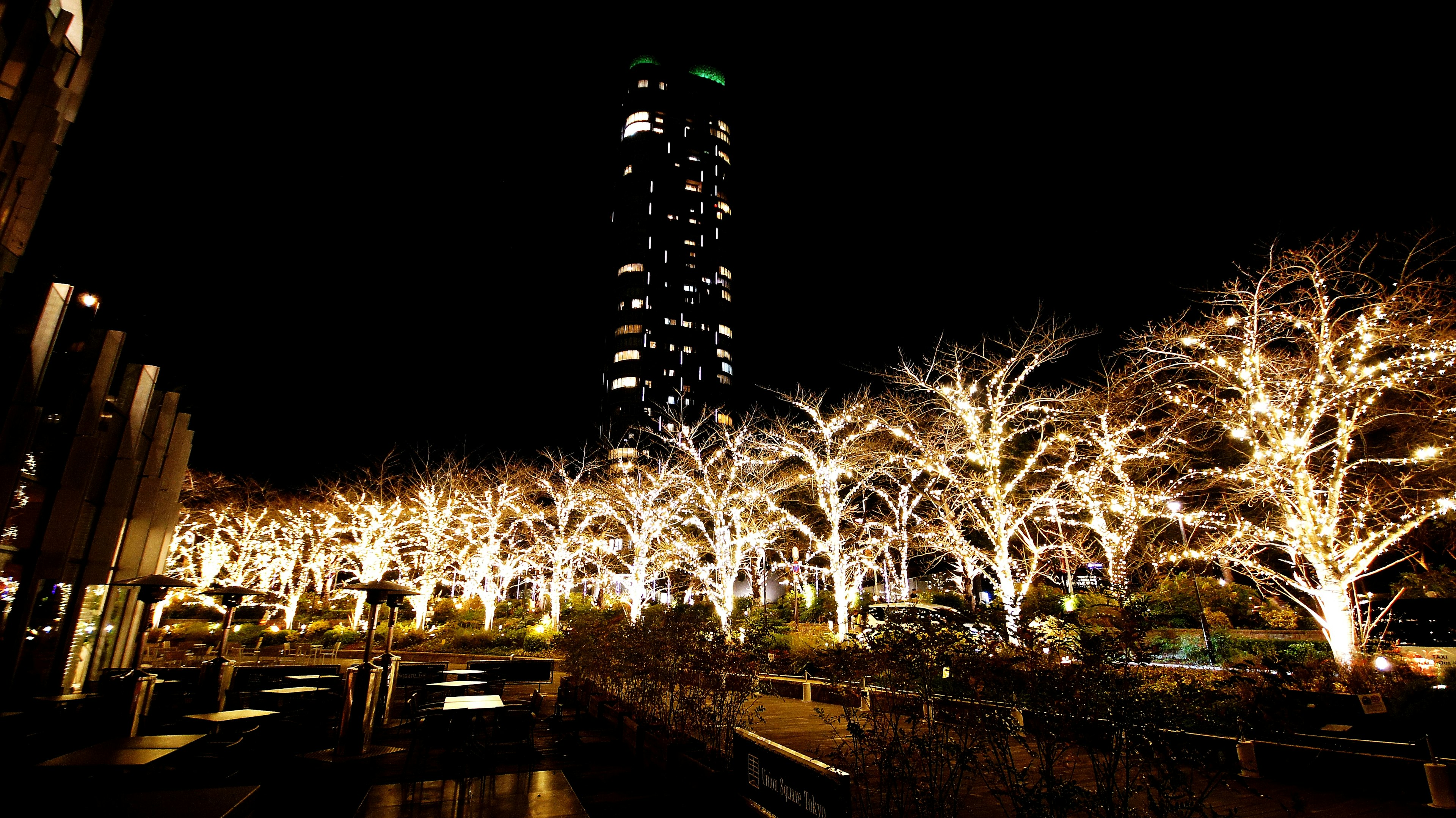 Cityscape at night with illuminated trees