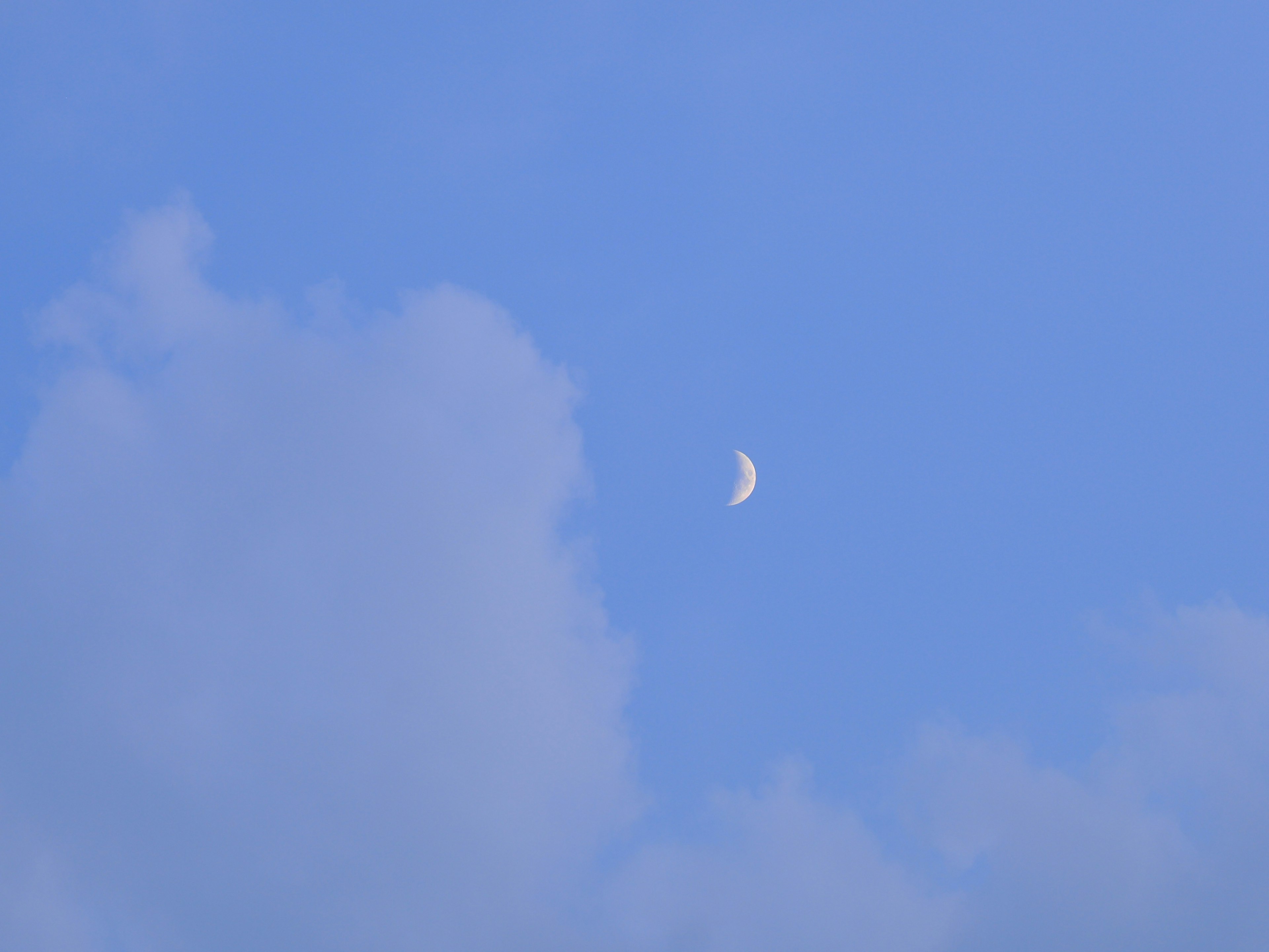 photo-Y5WHeYctFdQPJ7OTBhw8-image