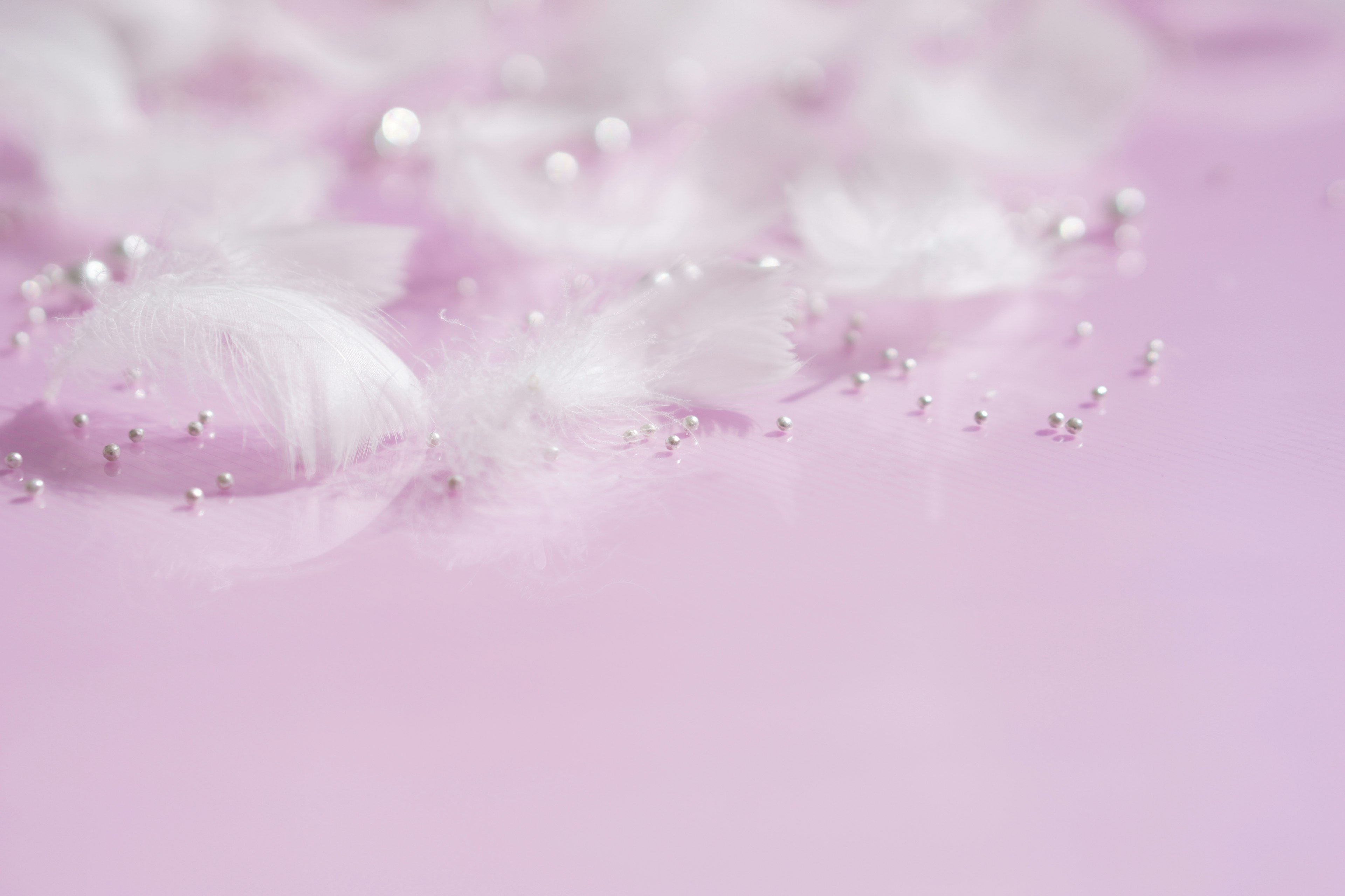 Delicate white petals floating on a soft pink background with water droplets