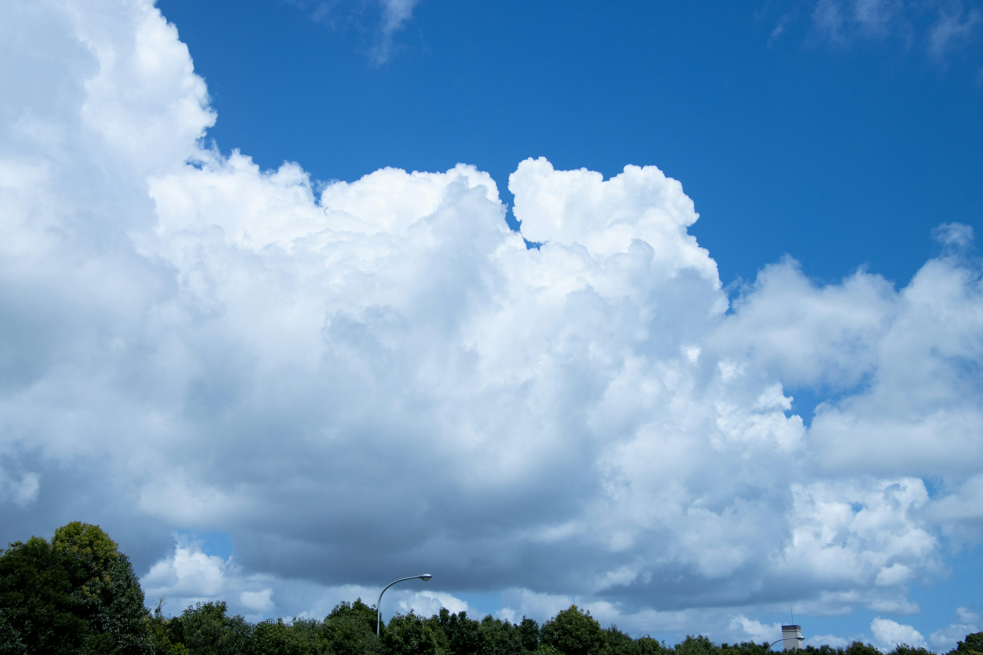 White clouds floating in a blue sky with green trees below