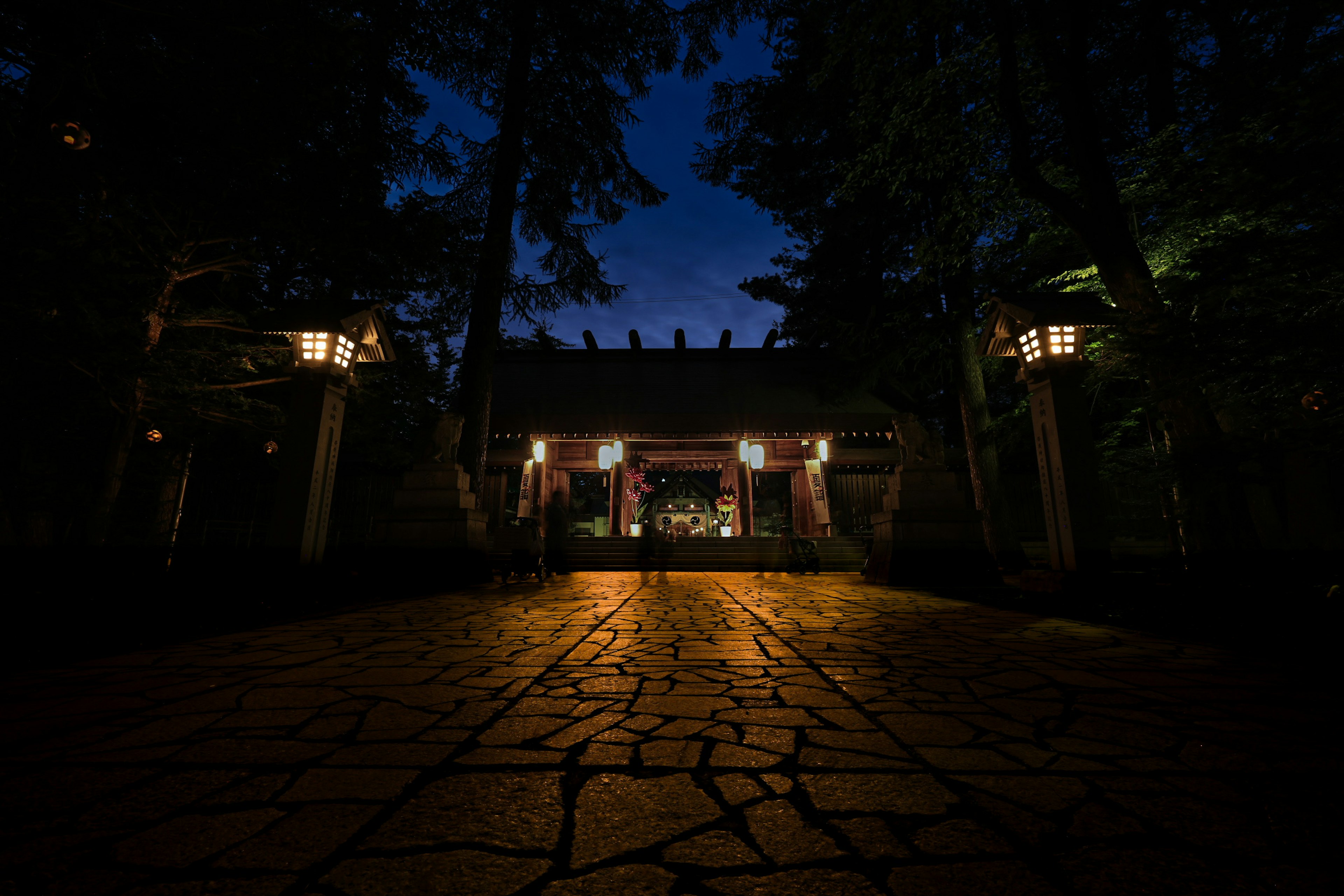 夜の神社の入り口 懐中電灯の光が道を照らす