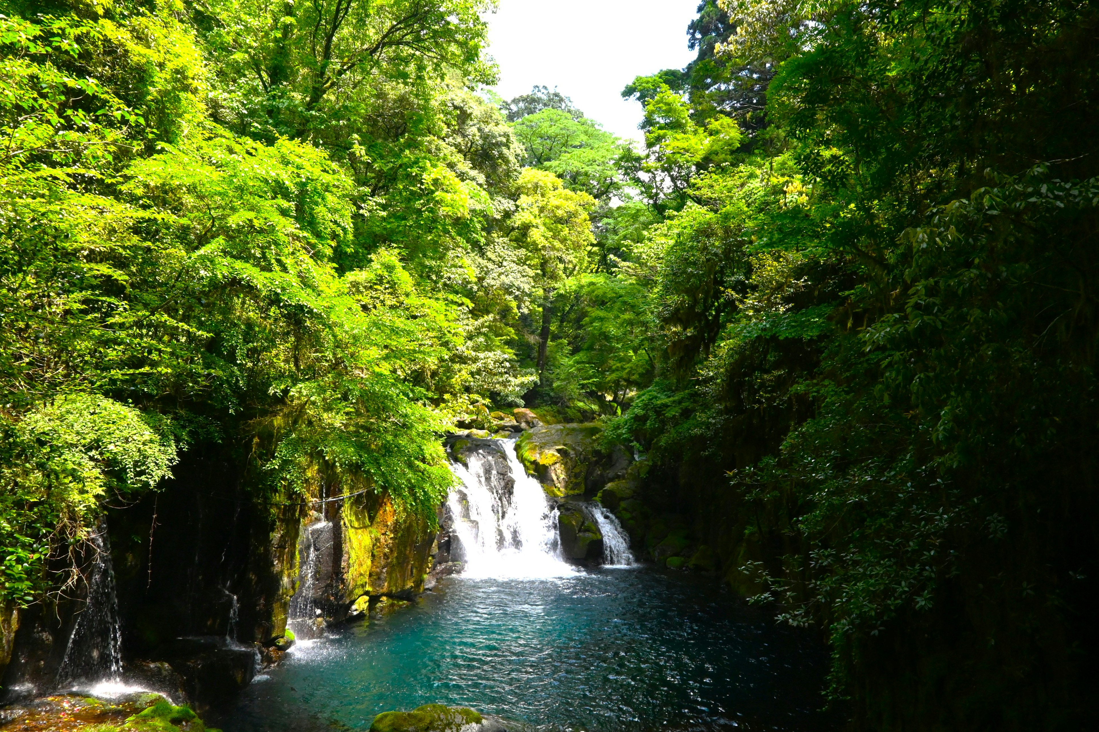 Air terjun yang indah dan kolam biru dikelilingi hutan hijau yang lebat