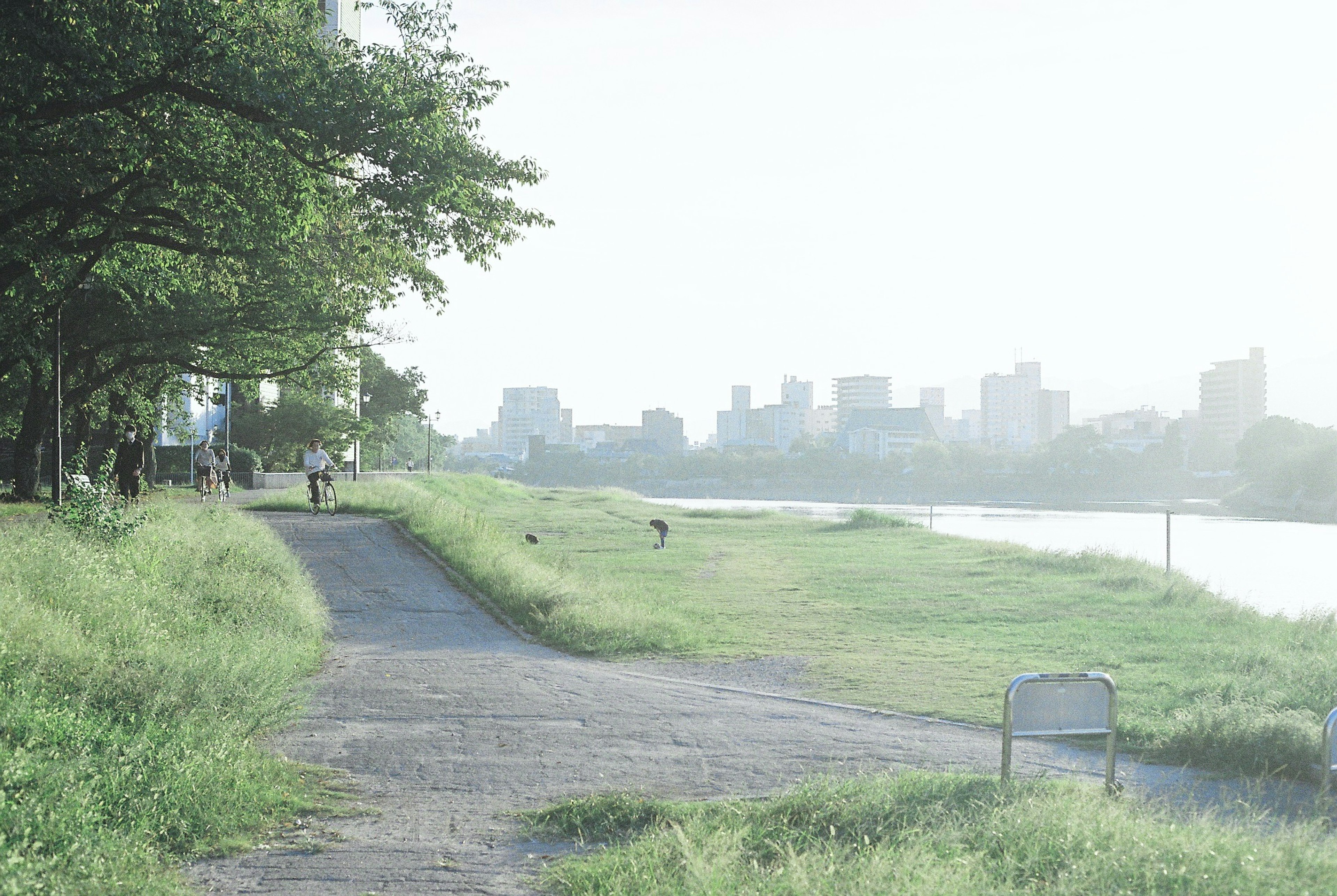 Green riverside walkway with city skyline in the background