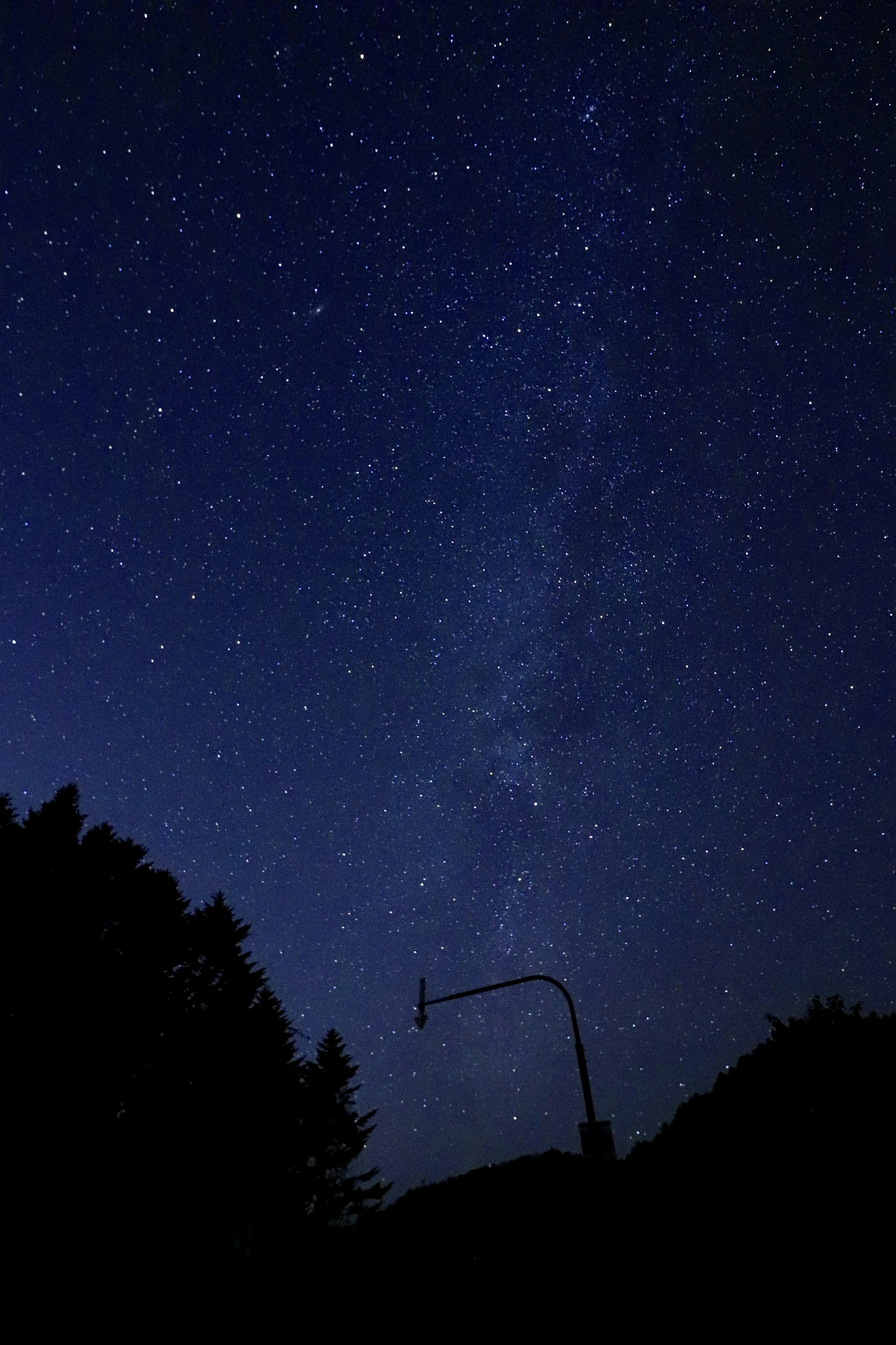 Starry night sky with silhouette of a streetlight