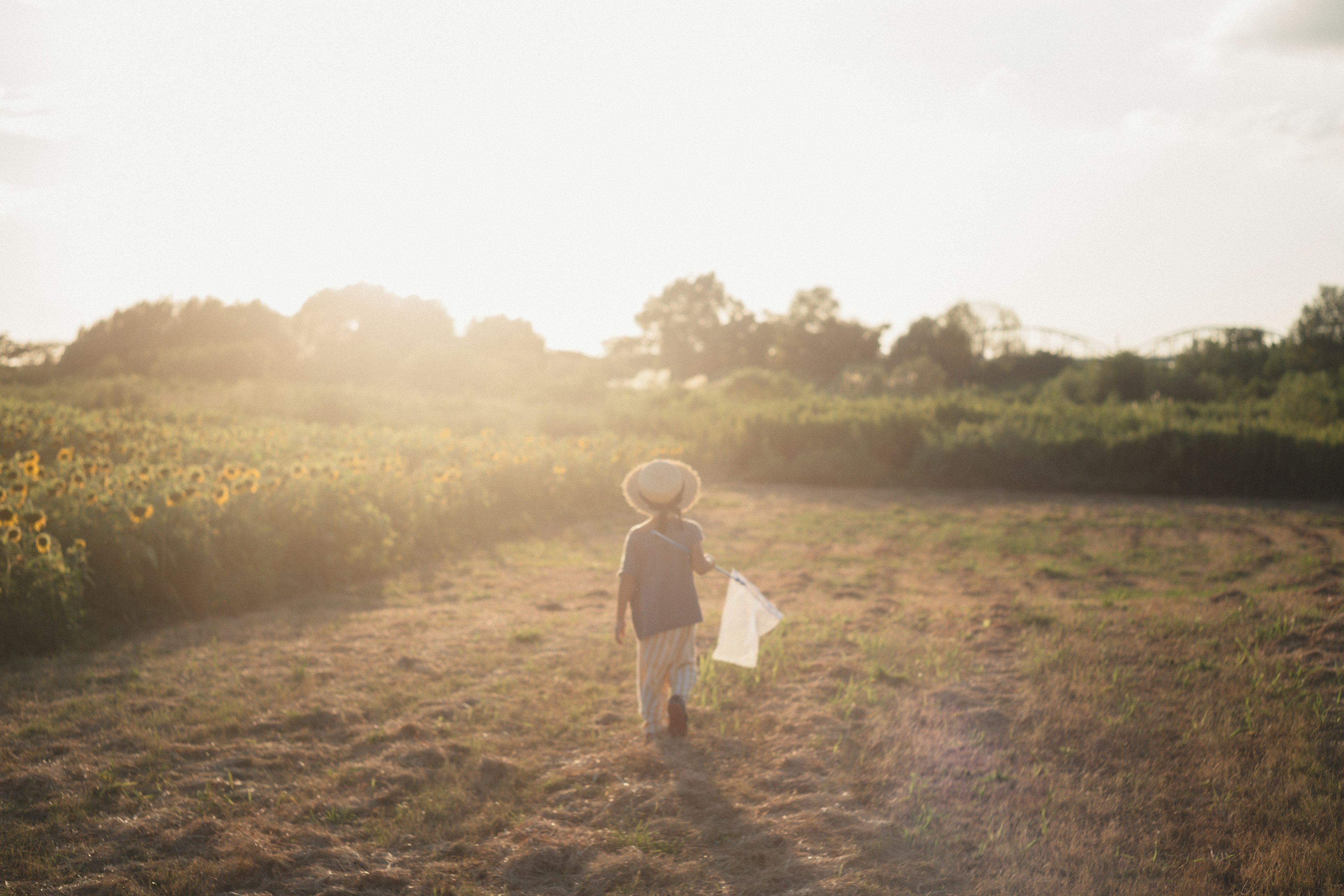 Un niño caminando bajo el sol a través de un campo de granja con vegetación