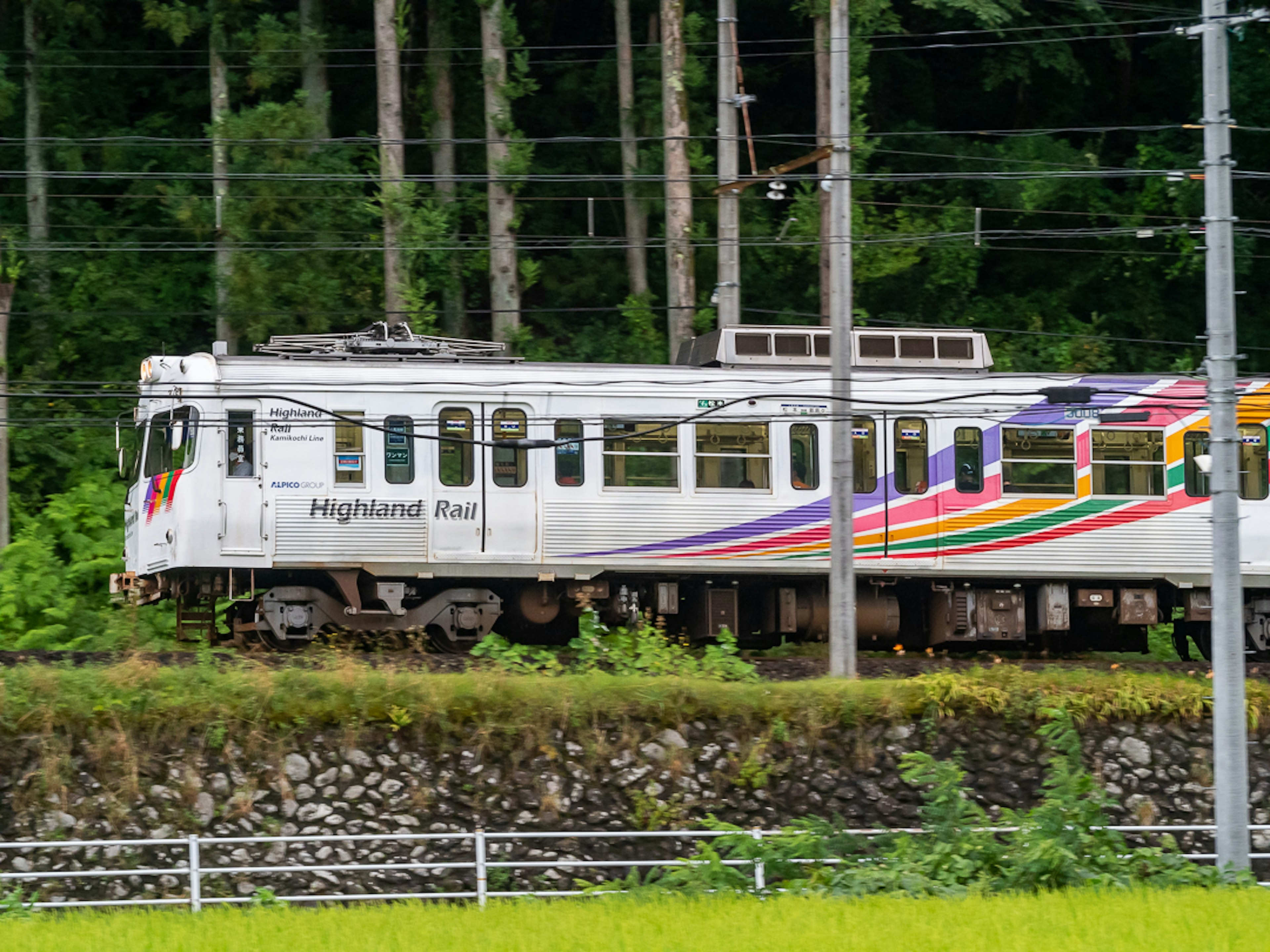 Bunter Highland Rail Zug bewegt sich vor grünem Hintergrund