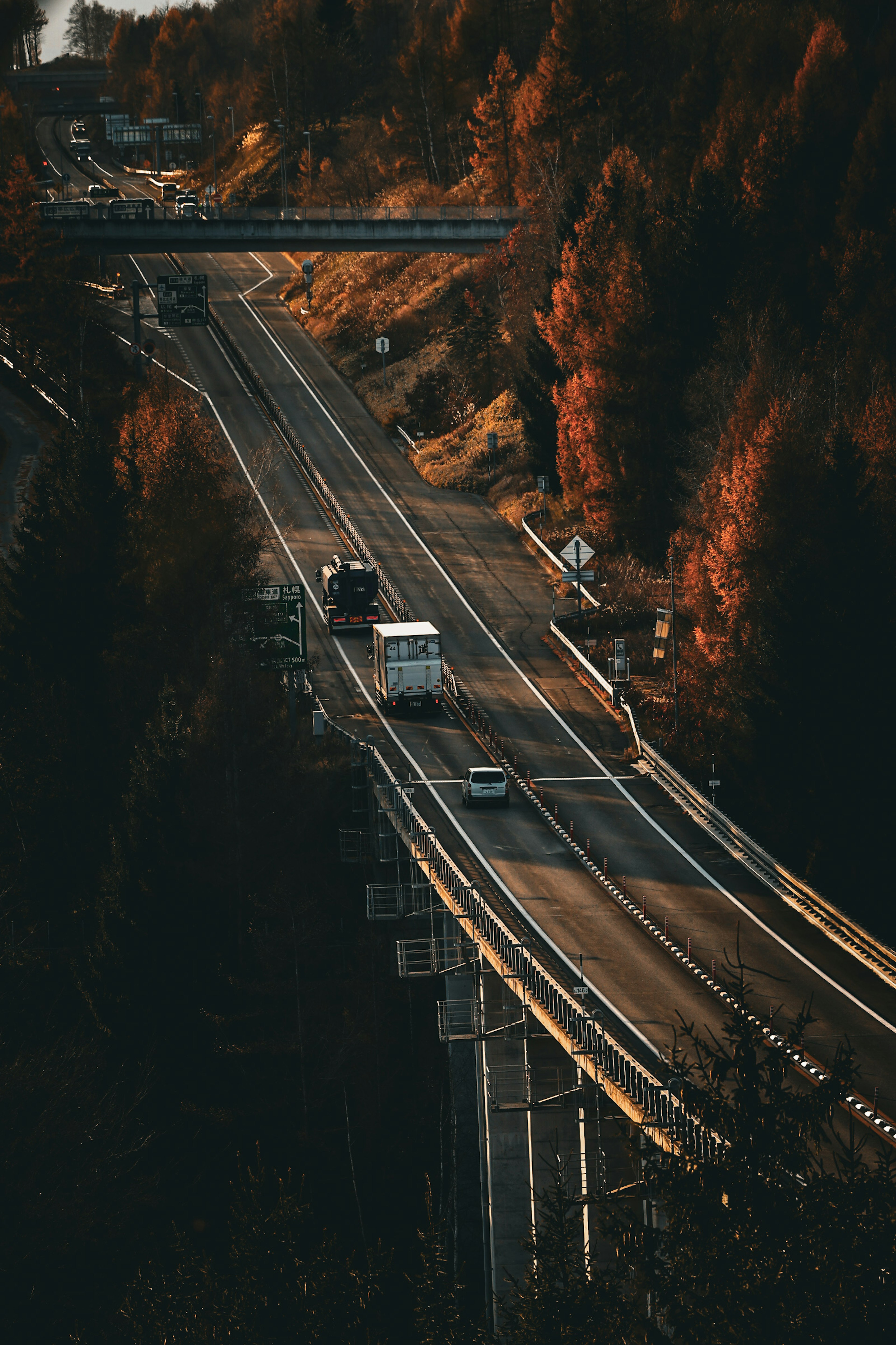 秋の色合いの木々に囲まれた道路の上を走る車