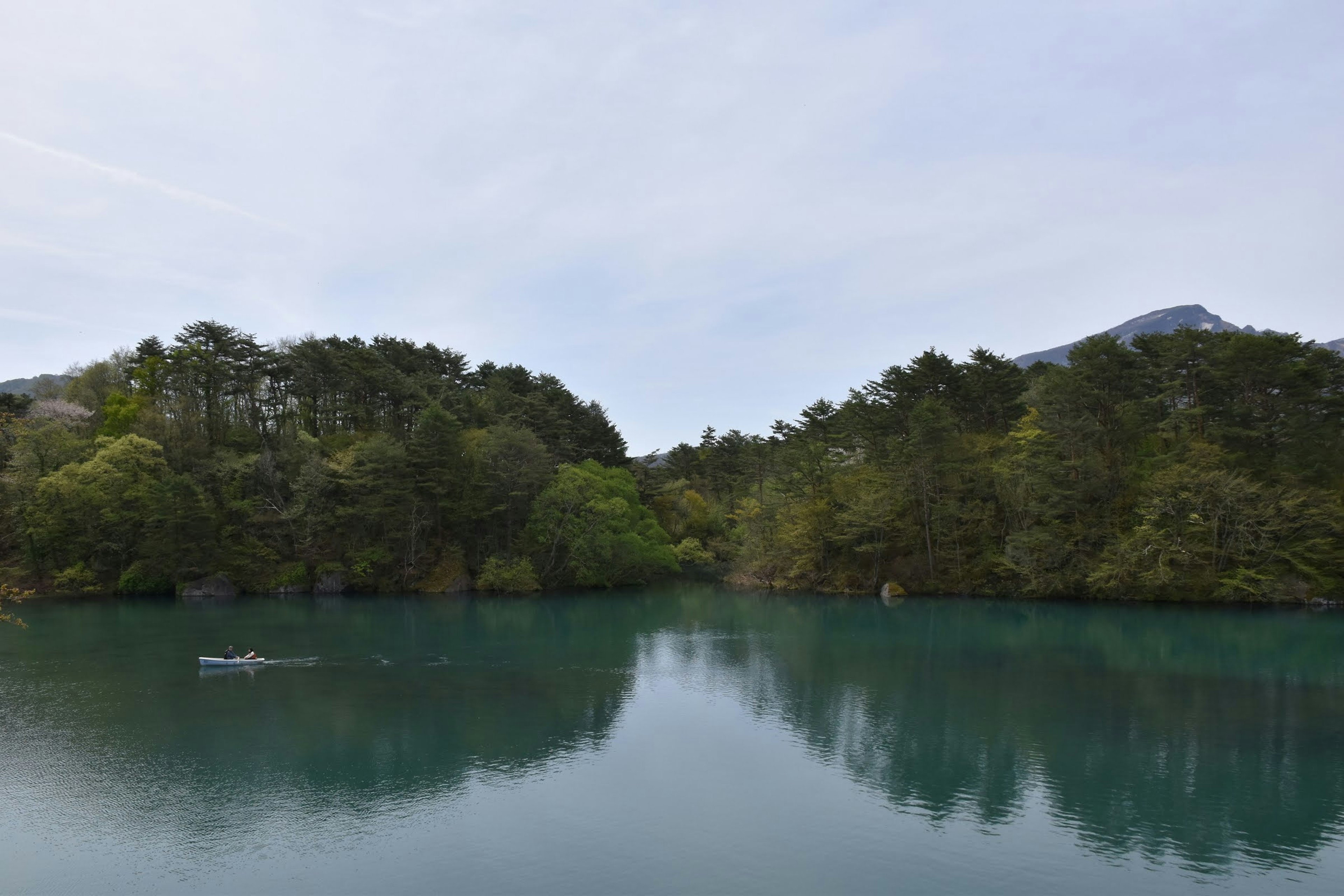 静かな湖と緑の木々の風景