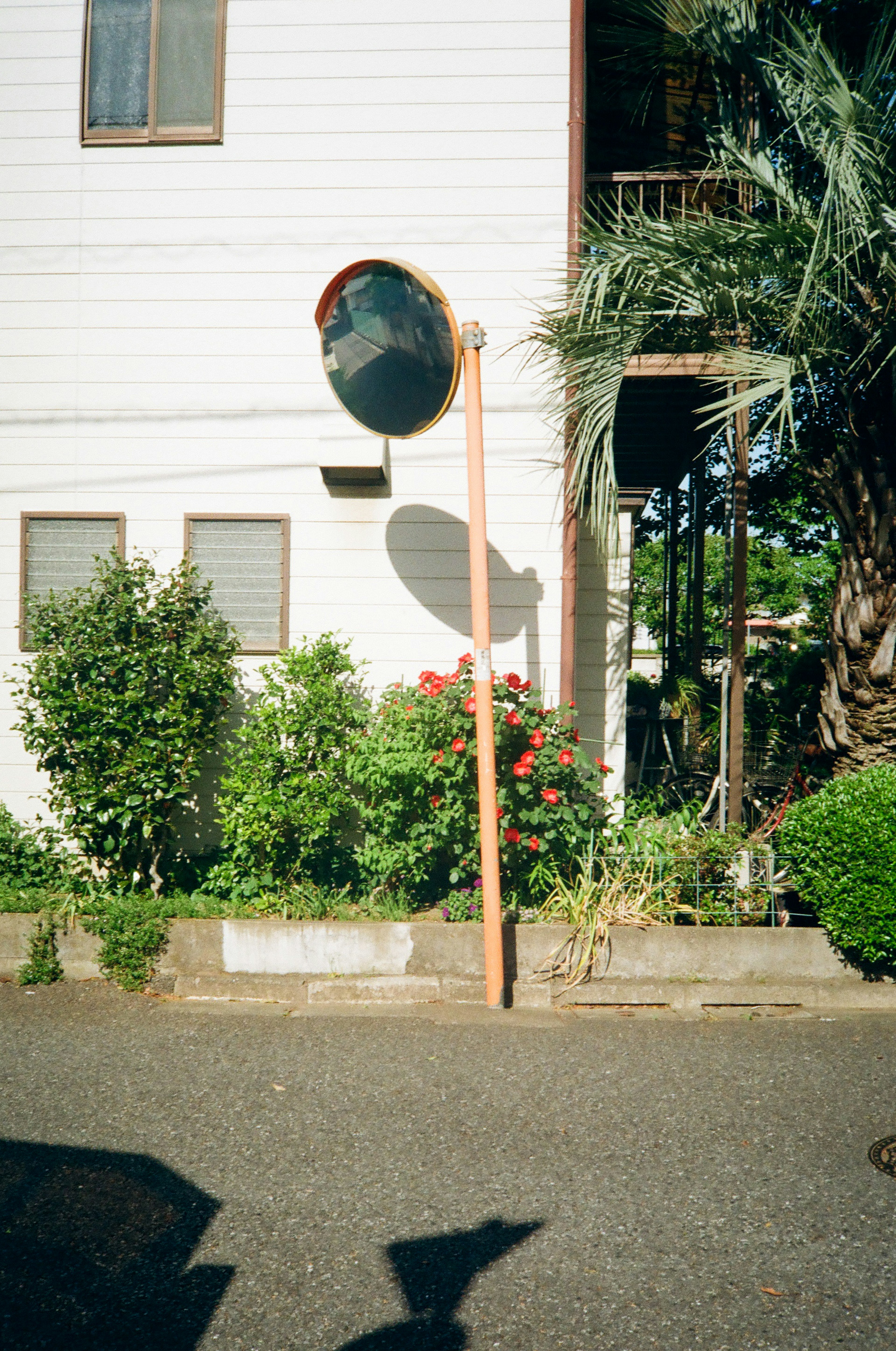 赤い縁取りの丸い鏡が立つ街角の風景 緑の植物と白い建物が背景にある