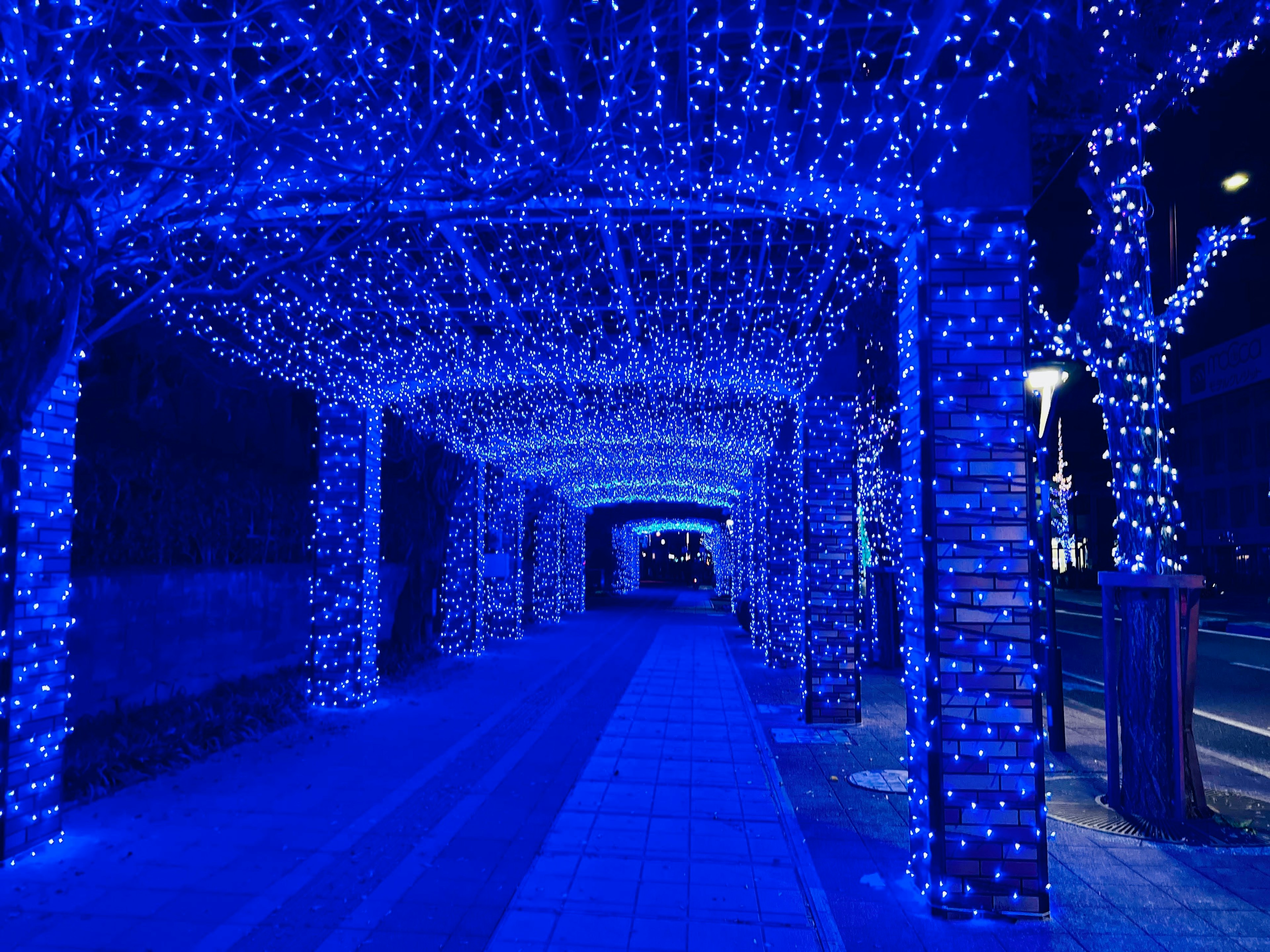 Un túnel peatonal adornado con luces azules