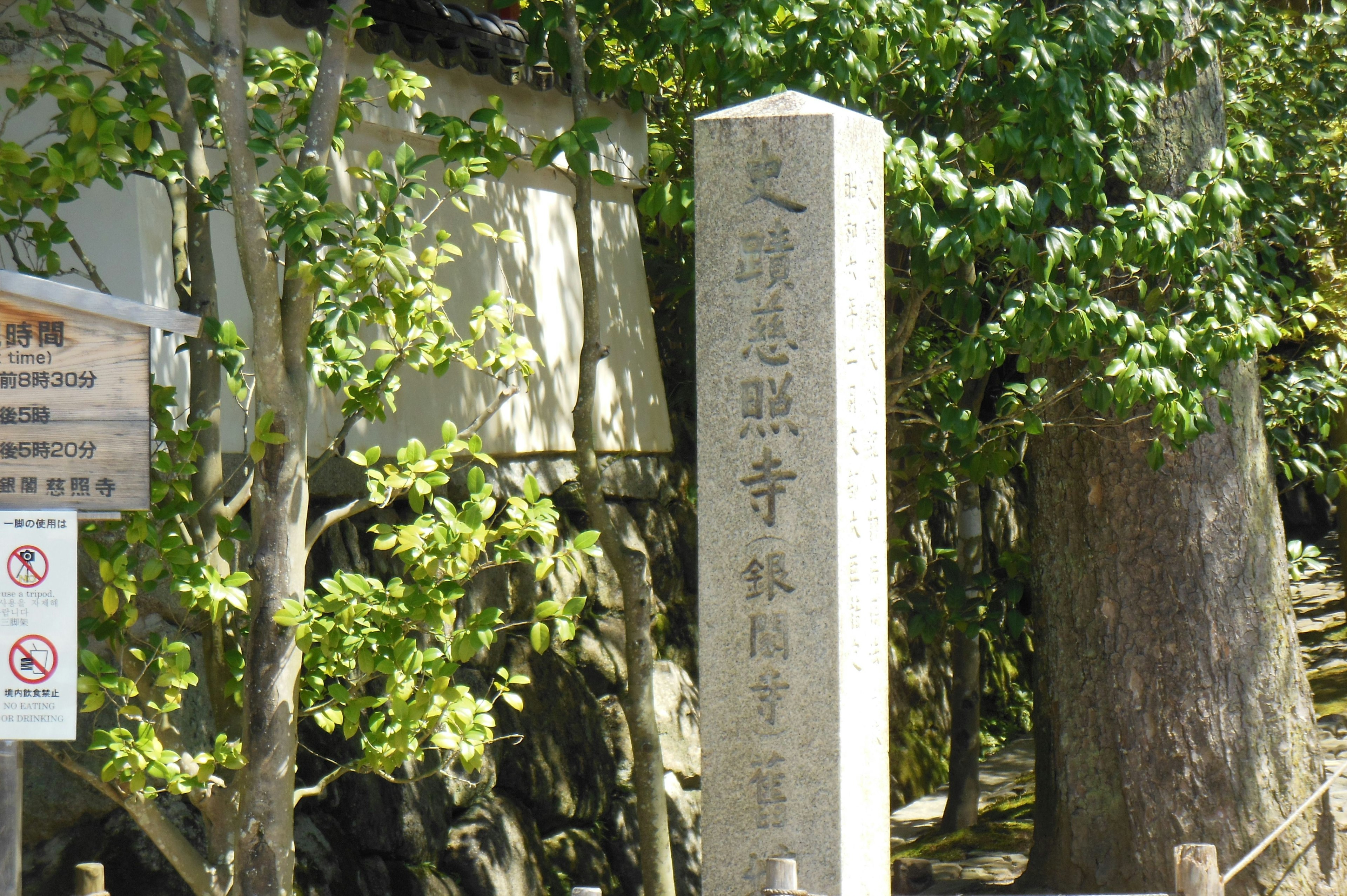 Monumento de piedra rodeado de árboles verdes