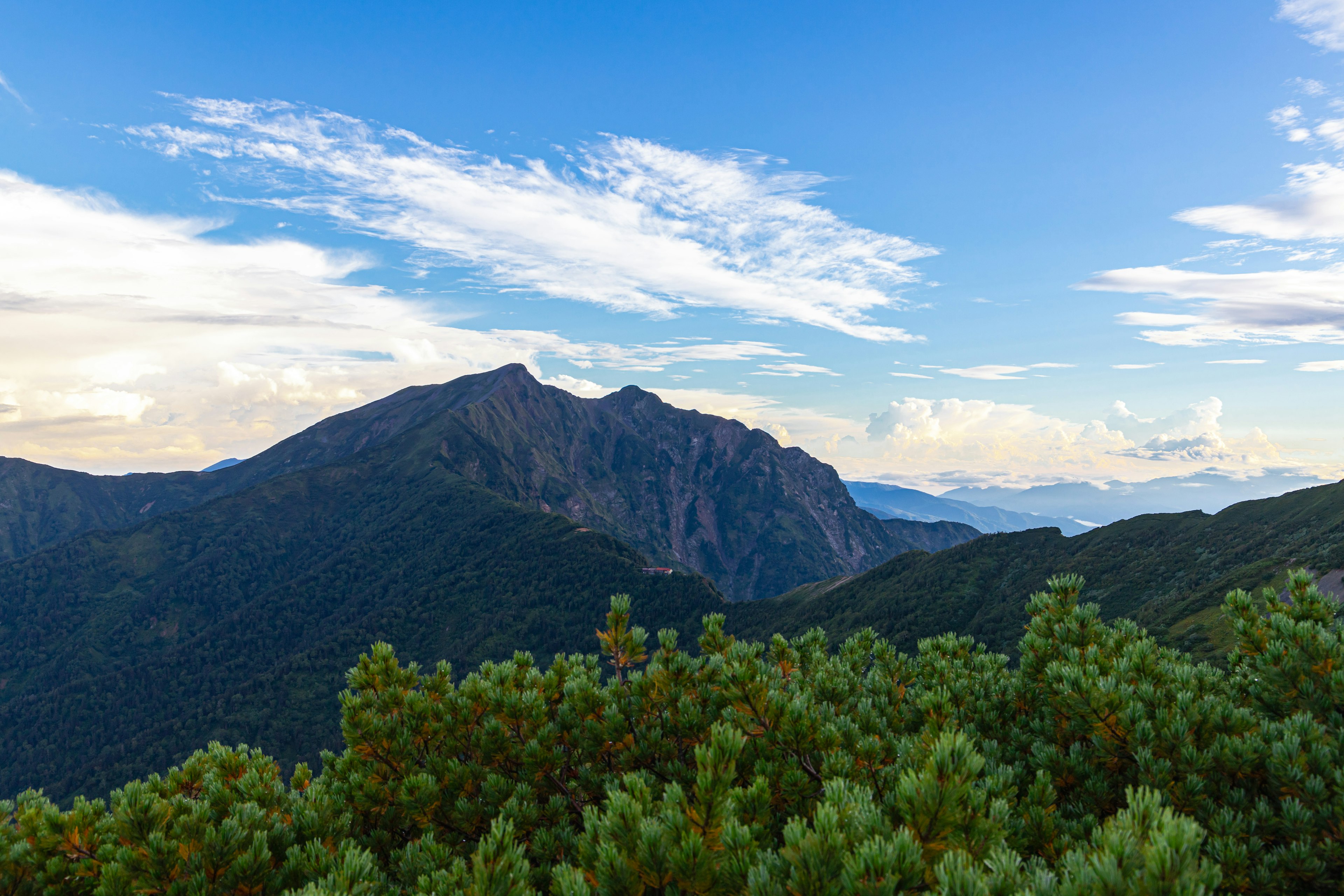 Vista escénica de montañas bajo un cielo azul claro con follaje verde en primer plano